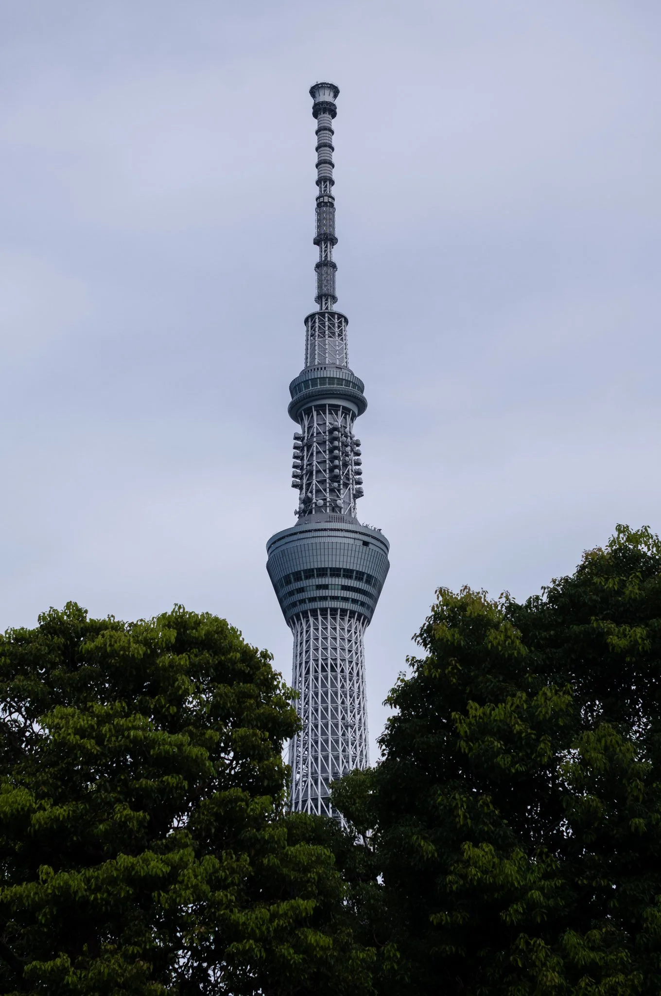 L1006025.jpg
