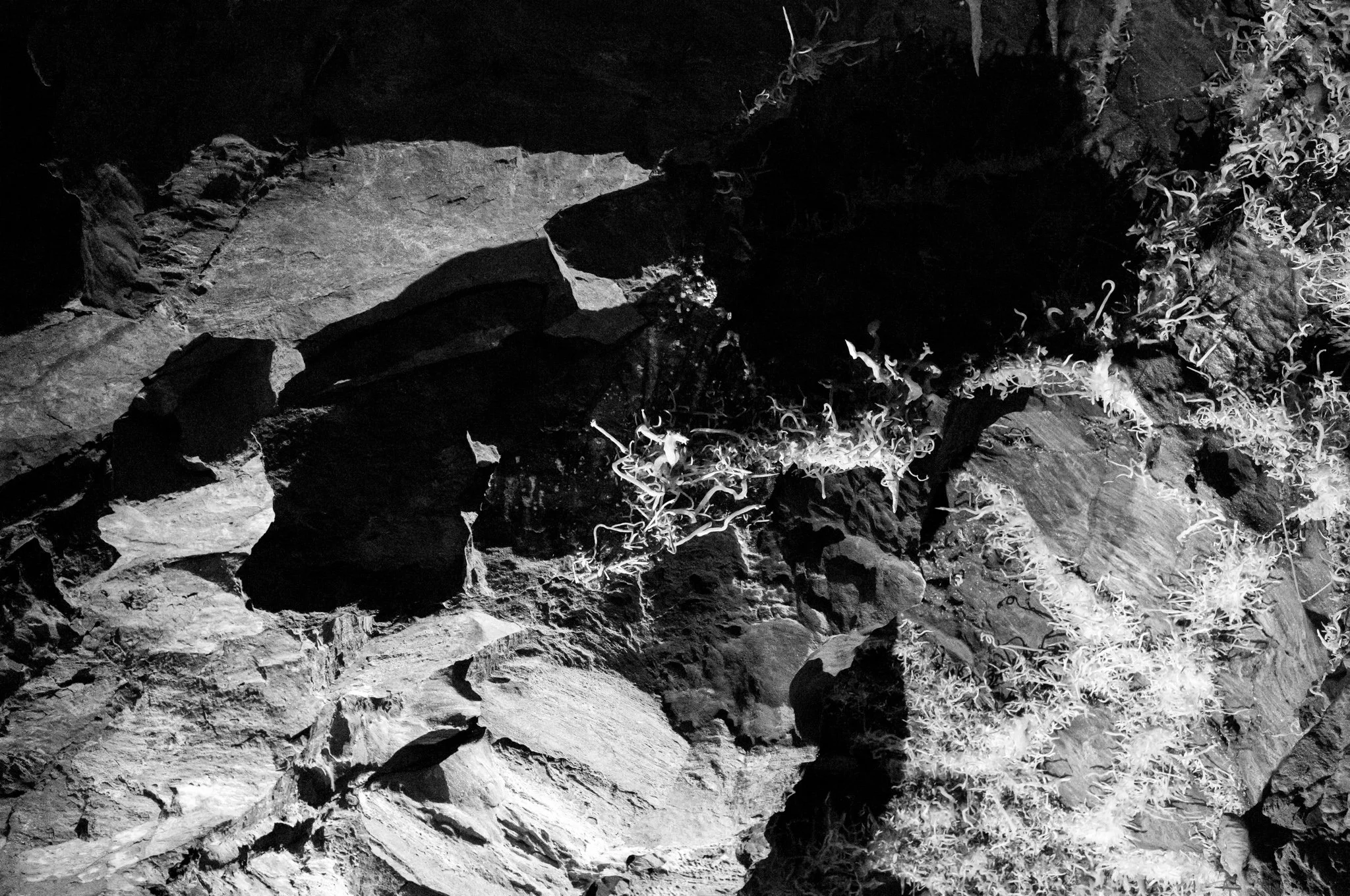 L1001264.jpg