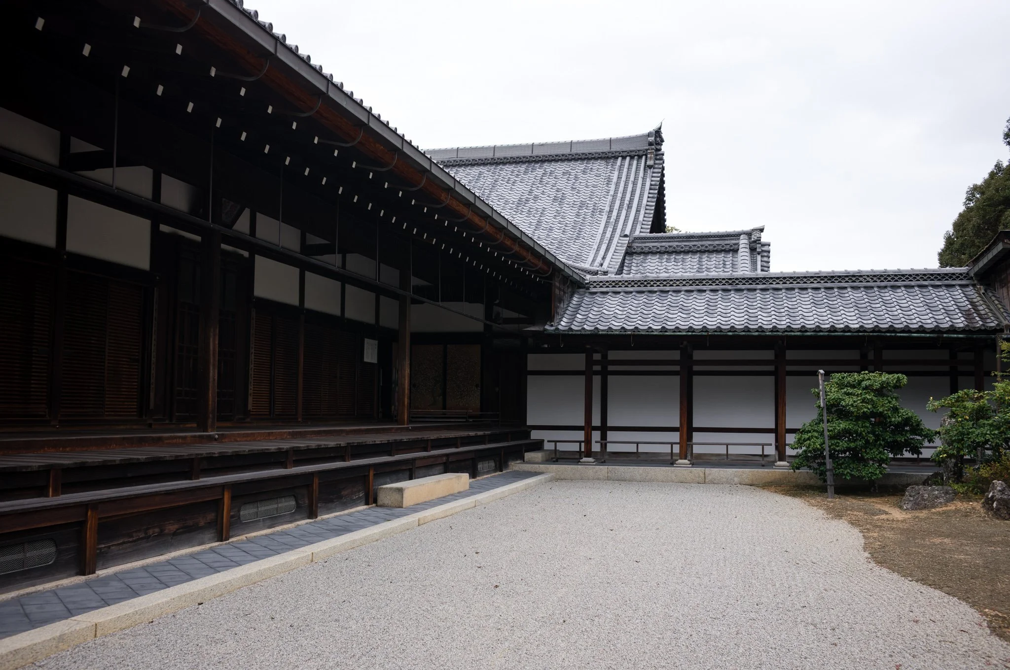 L1006583.jpg