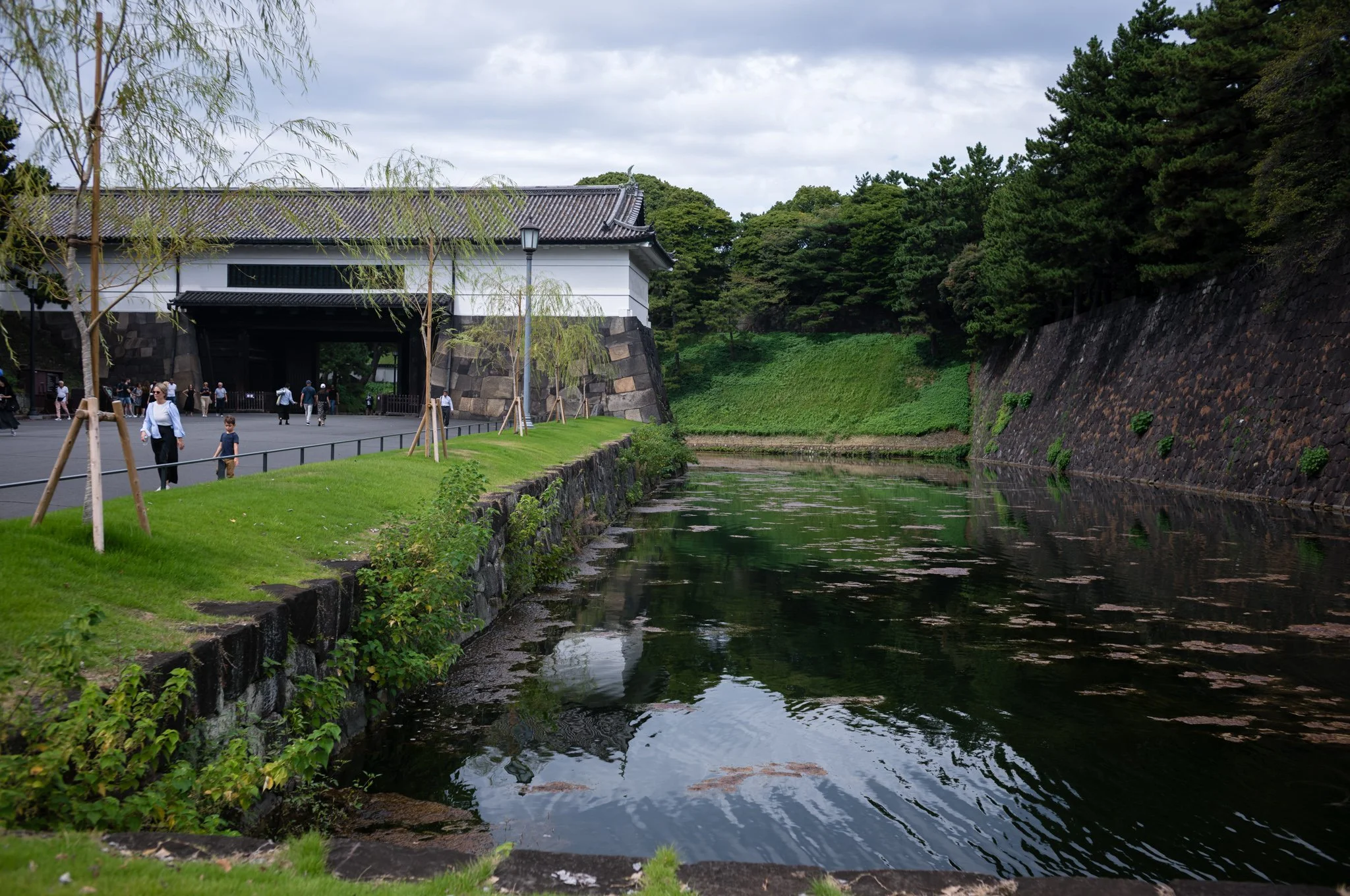 L1005620.jpg