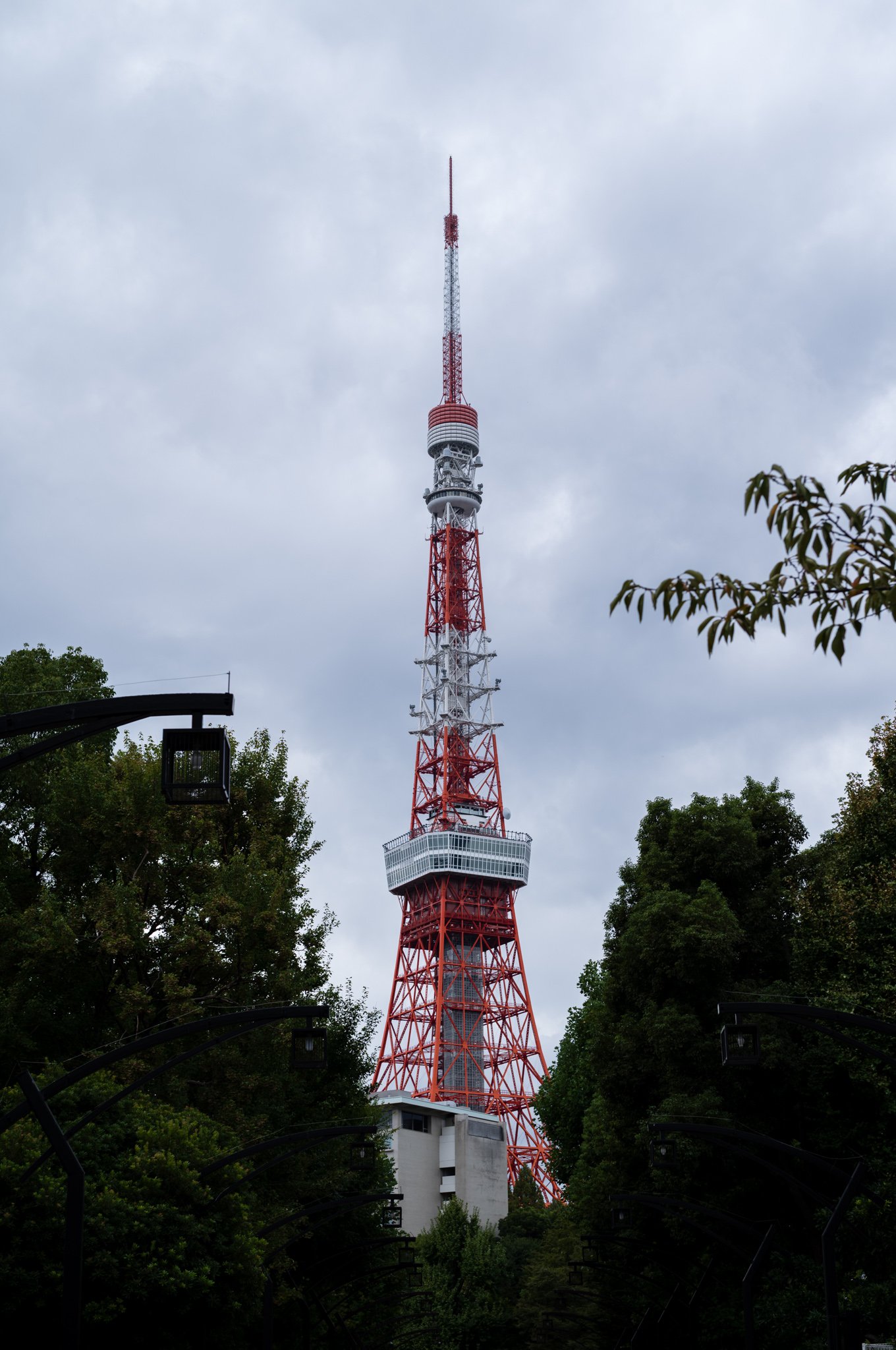L1005632.jpg