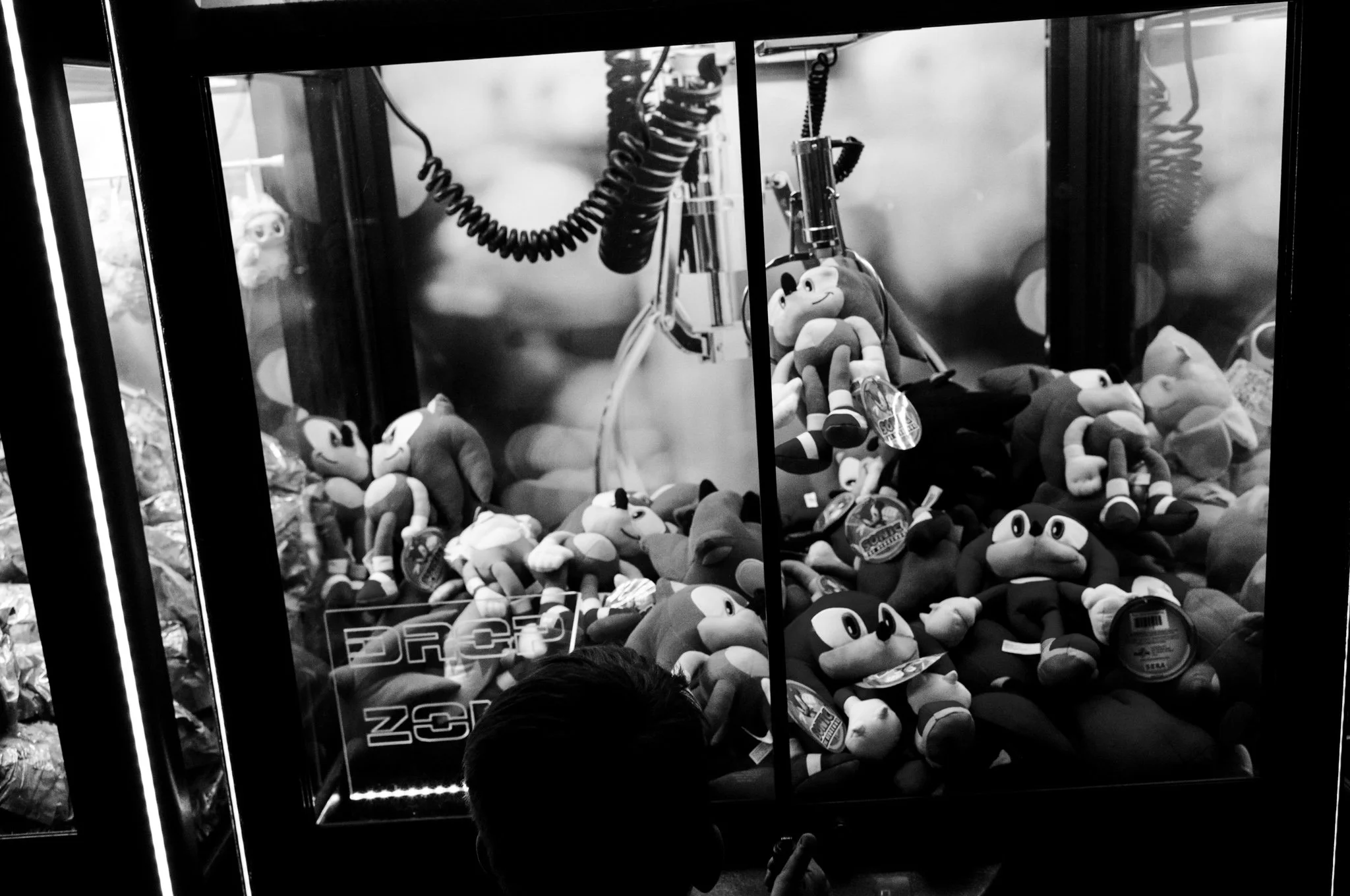 L1008930.jpg