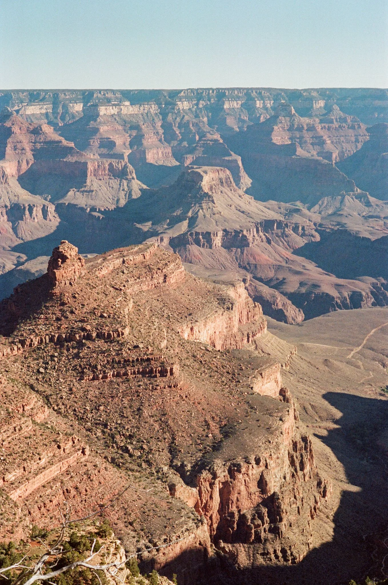 000458860015.jpg