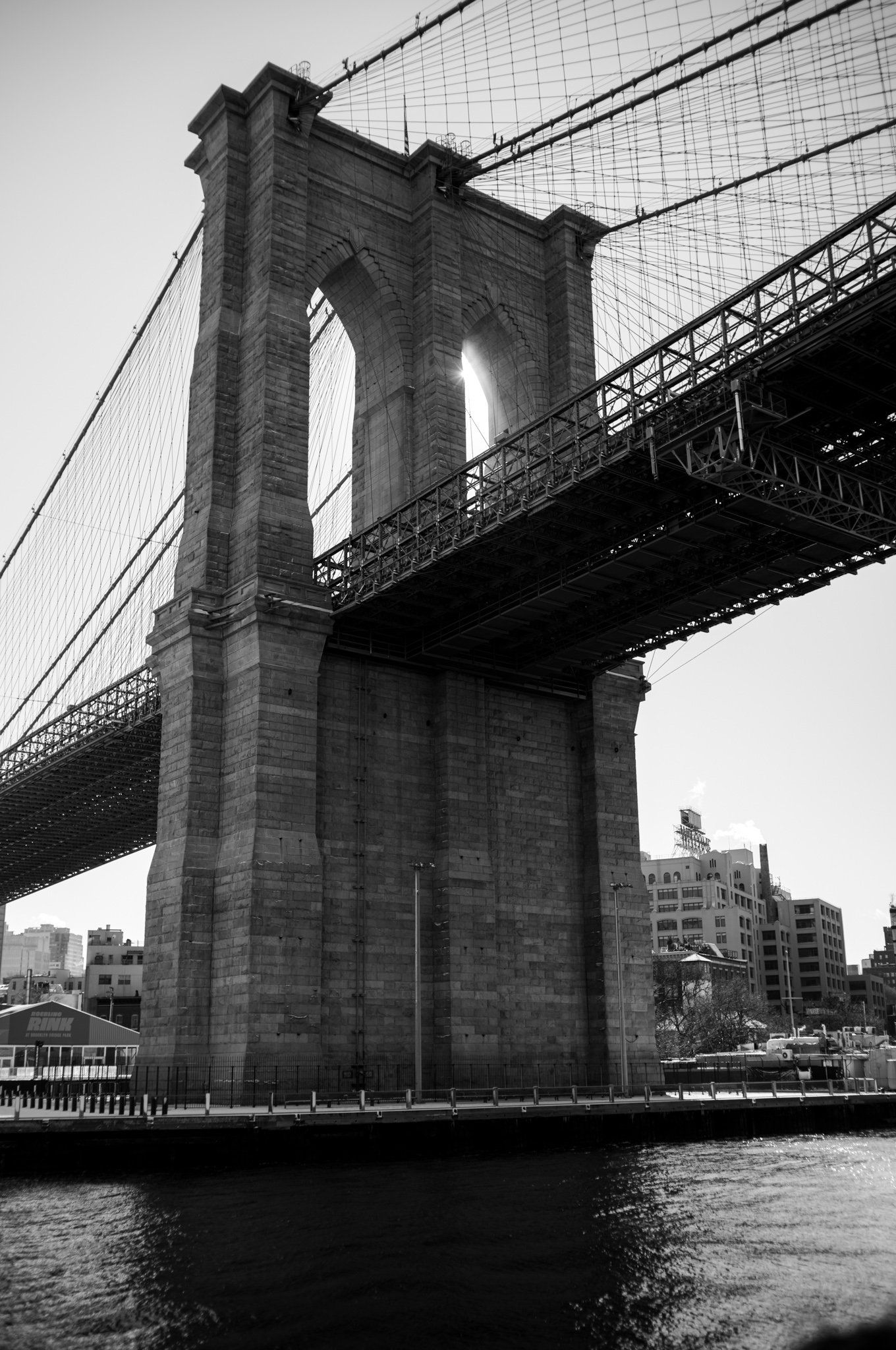 L1001552.jpg