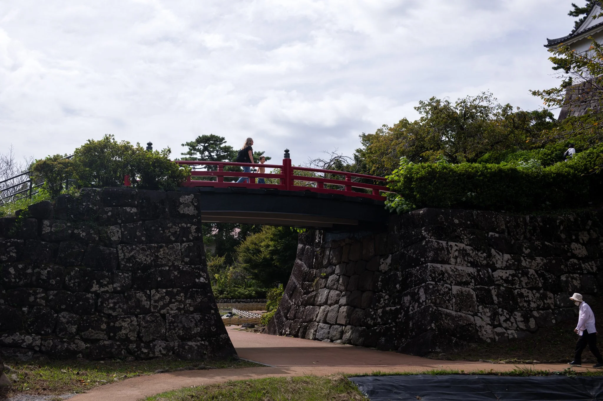 L1006125.jpg