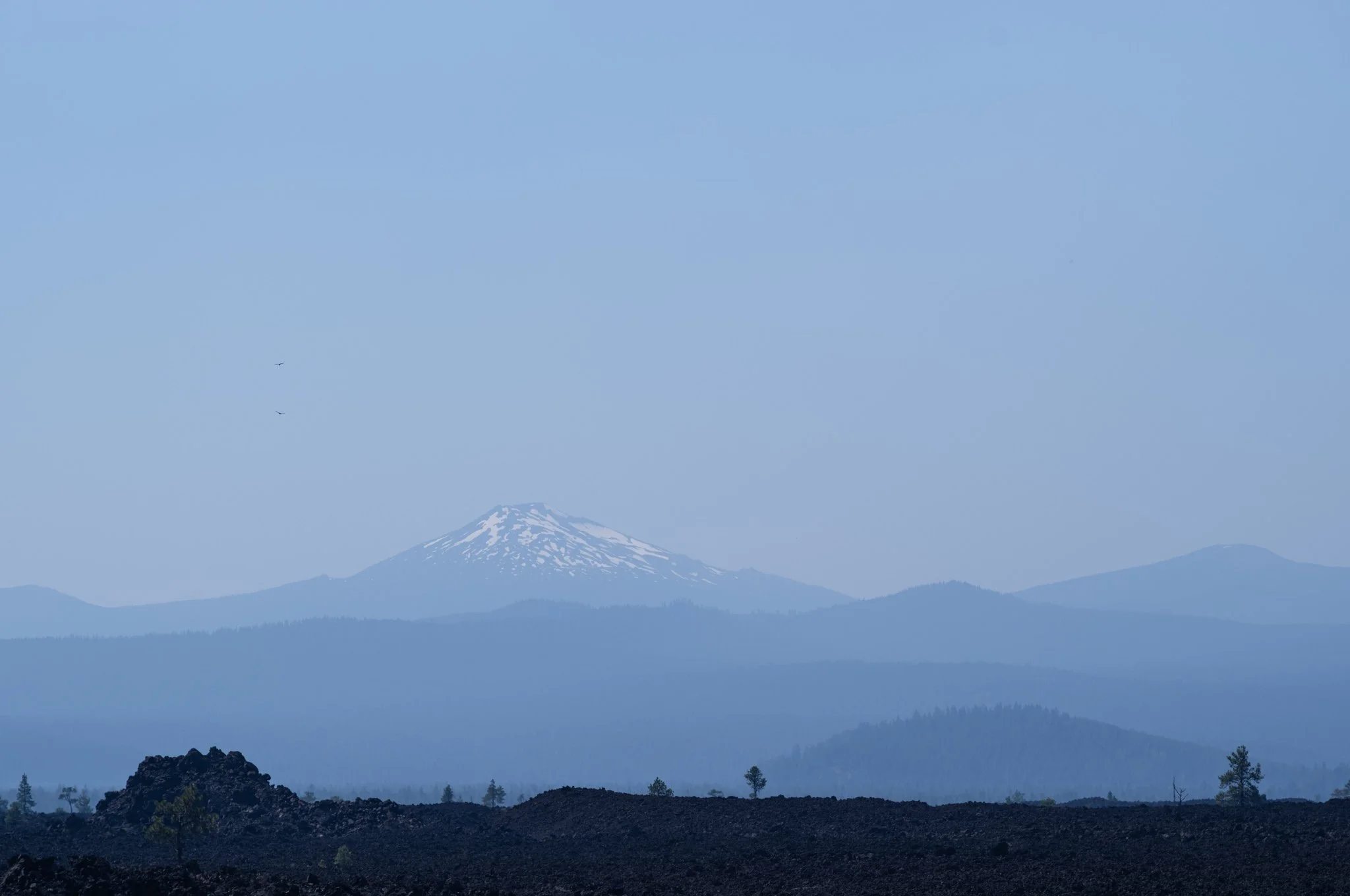 L1001166.jpg