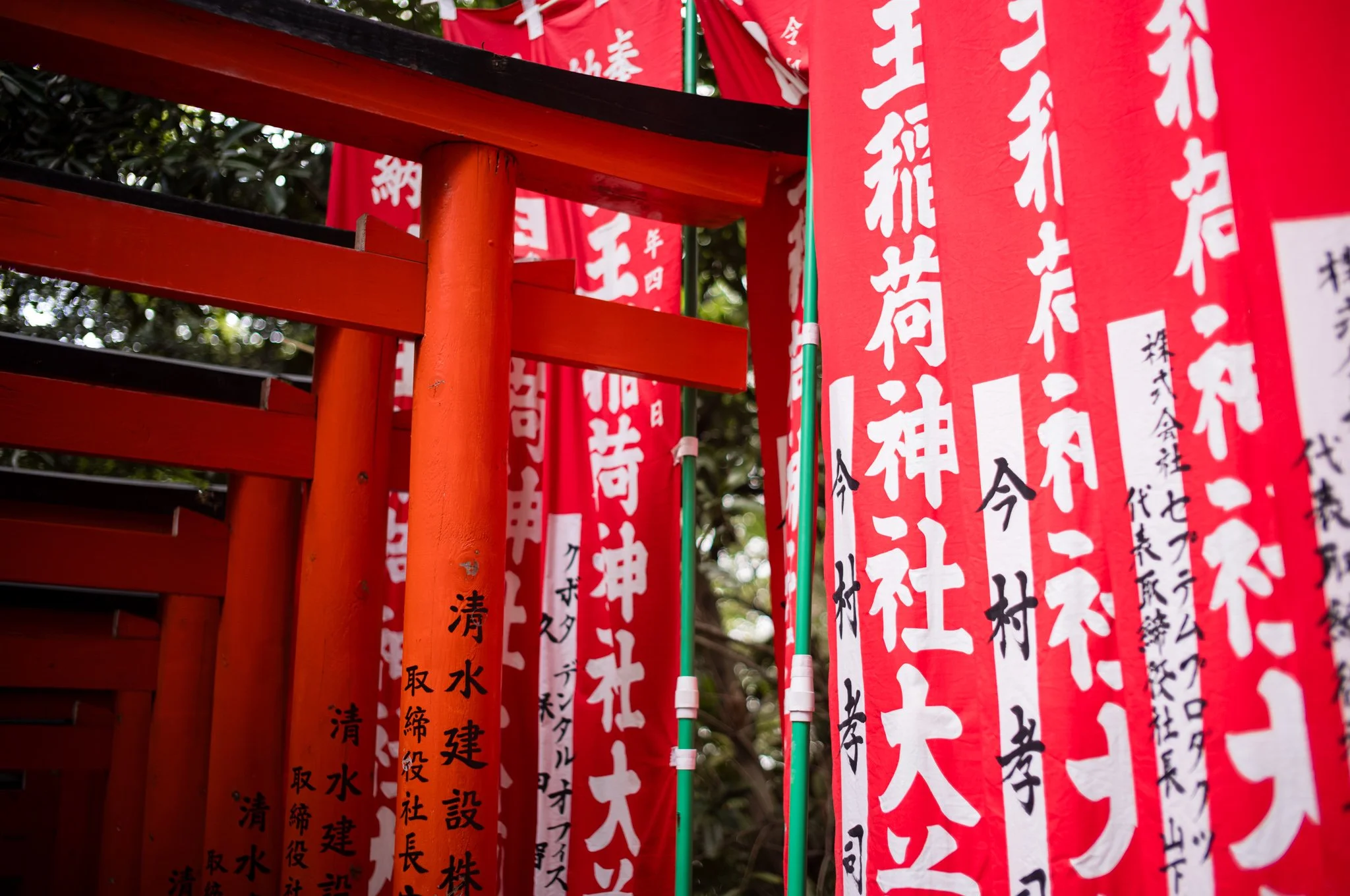 L1005598.jpg