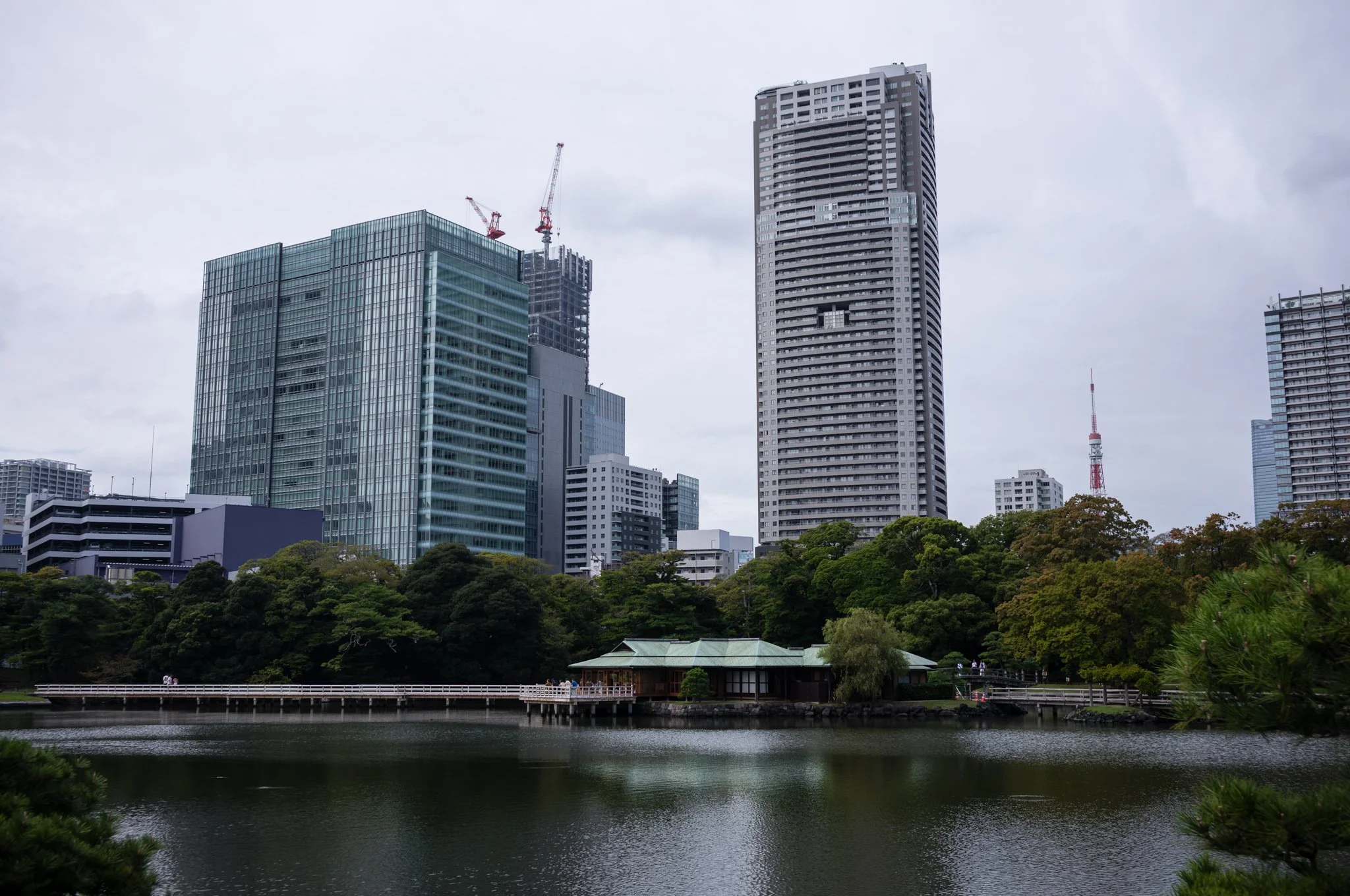 L1005713.jpg