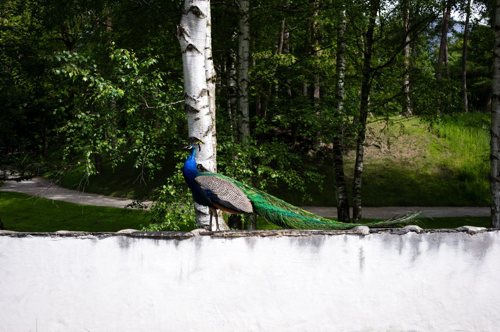 L1002626.jpg