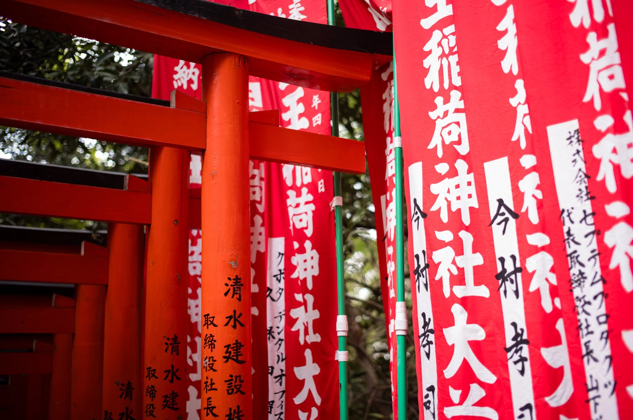 L1005597.jpg