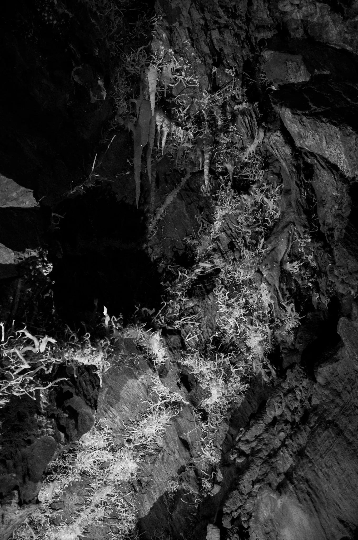 L1001254.jpg