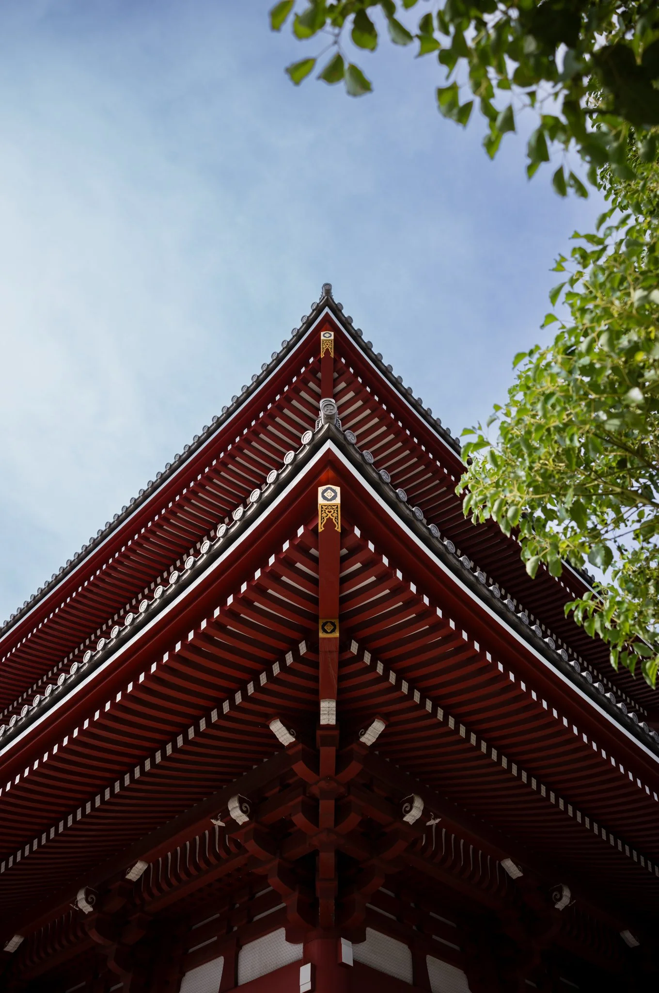 L1005984.jpg