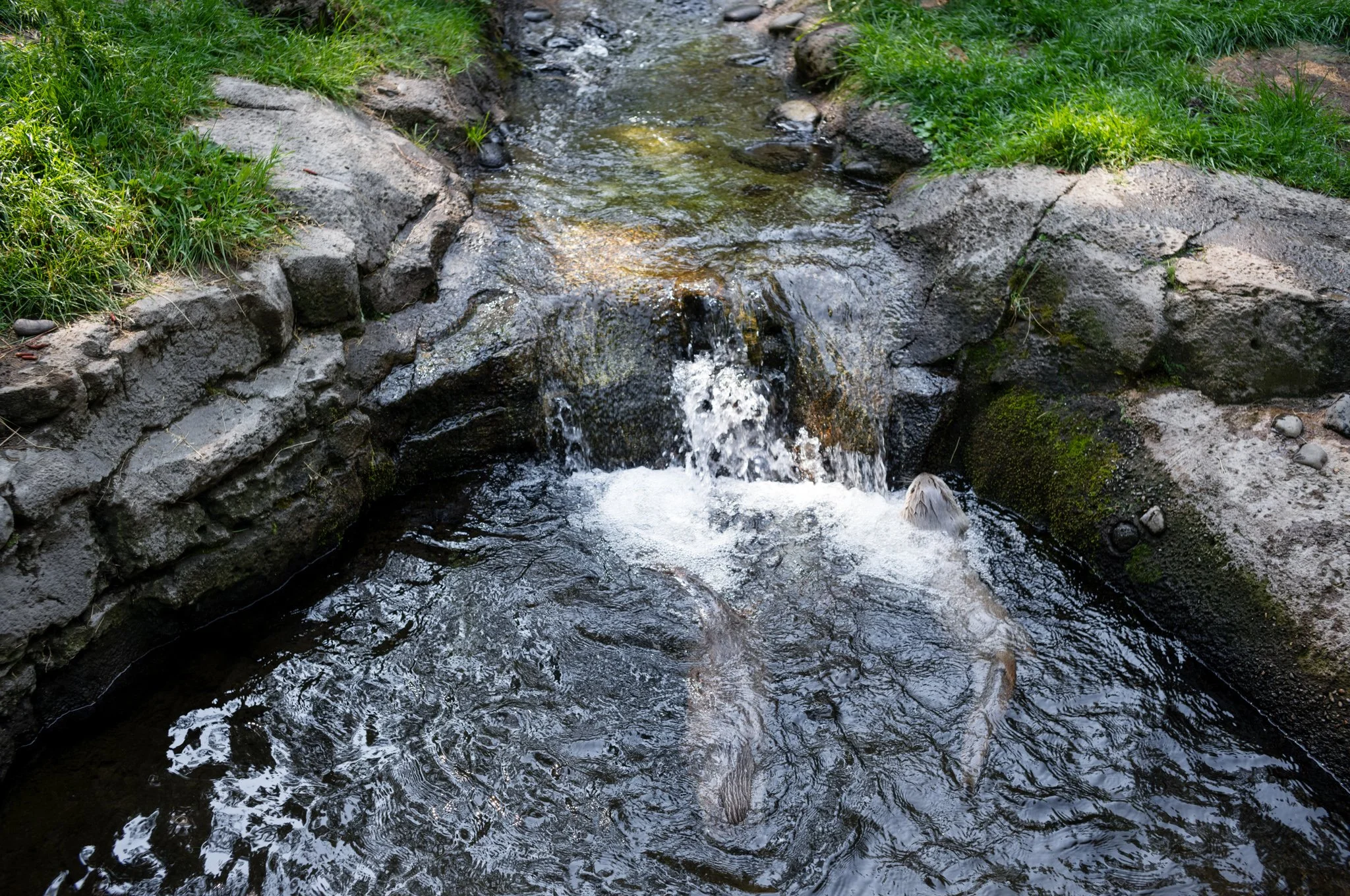 L1001093.jpg