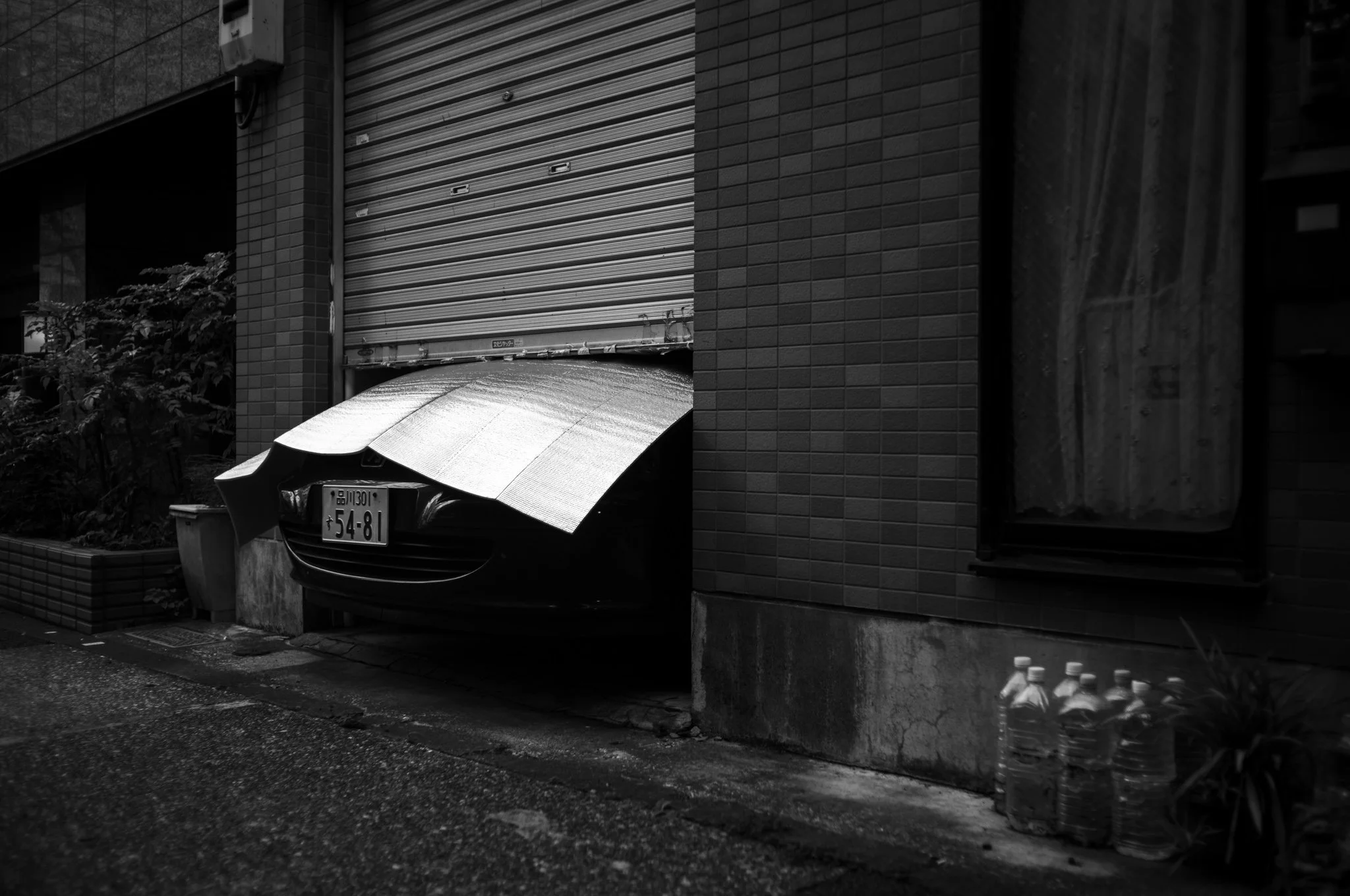 L1005559.jpg