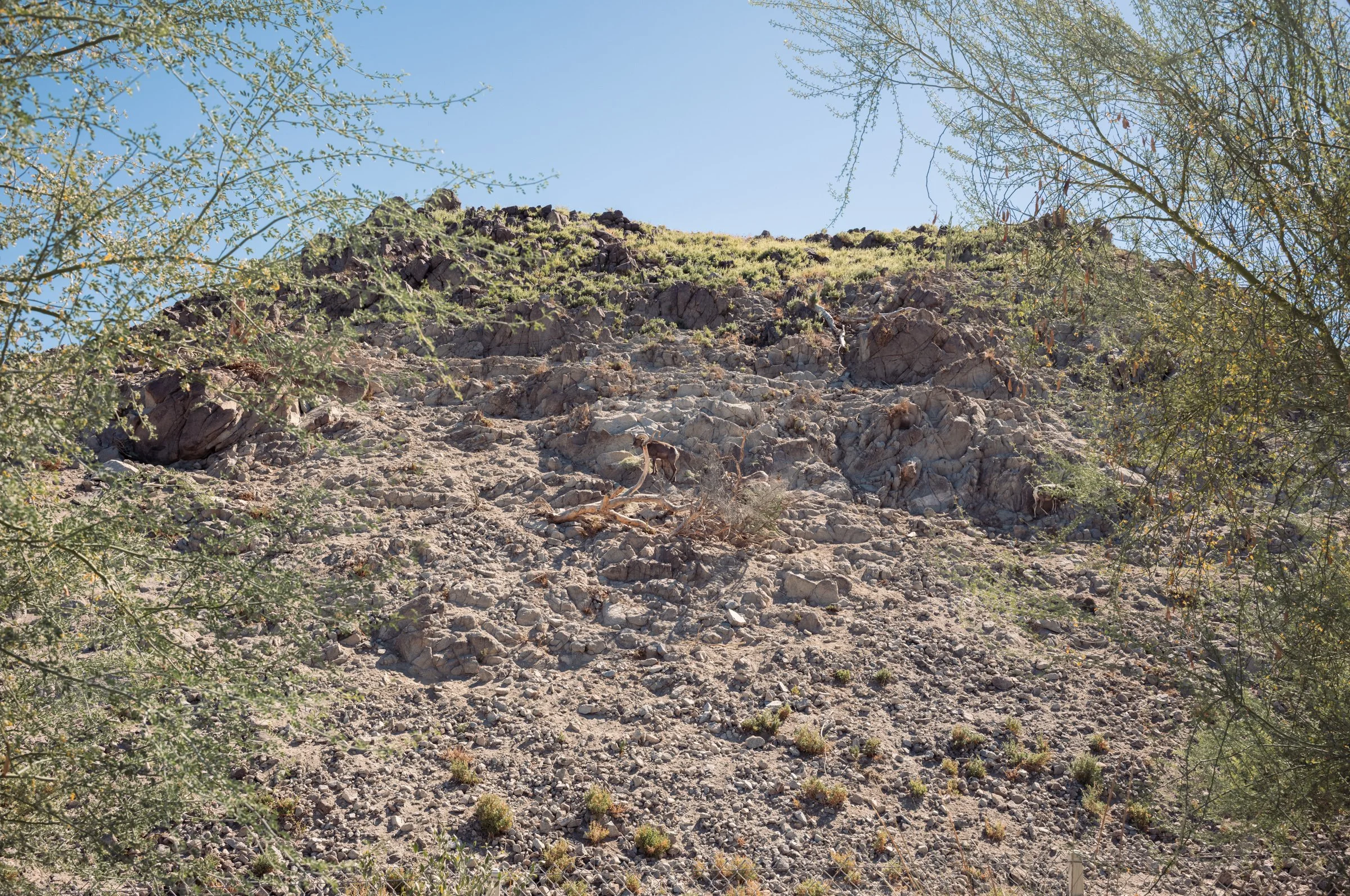 L1002717.jpg