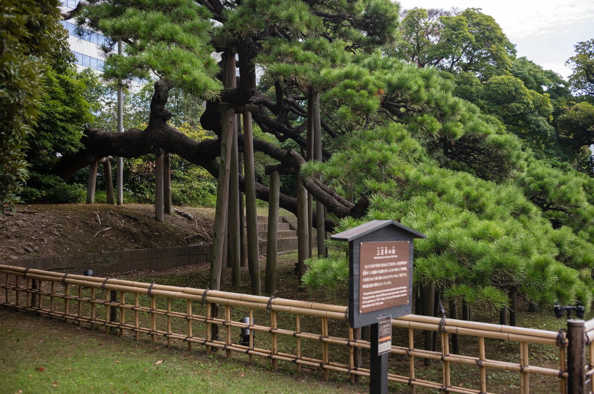 L1005734.jpg