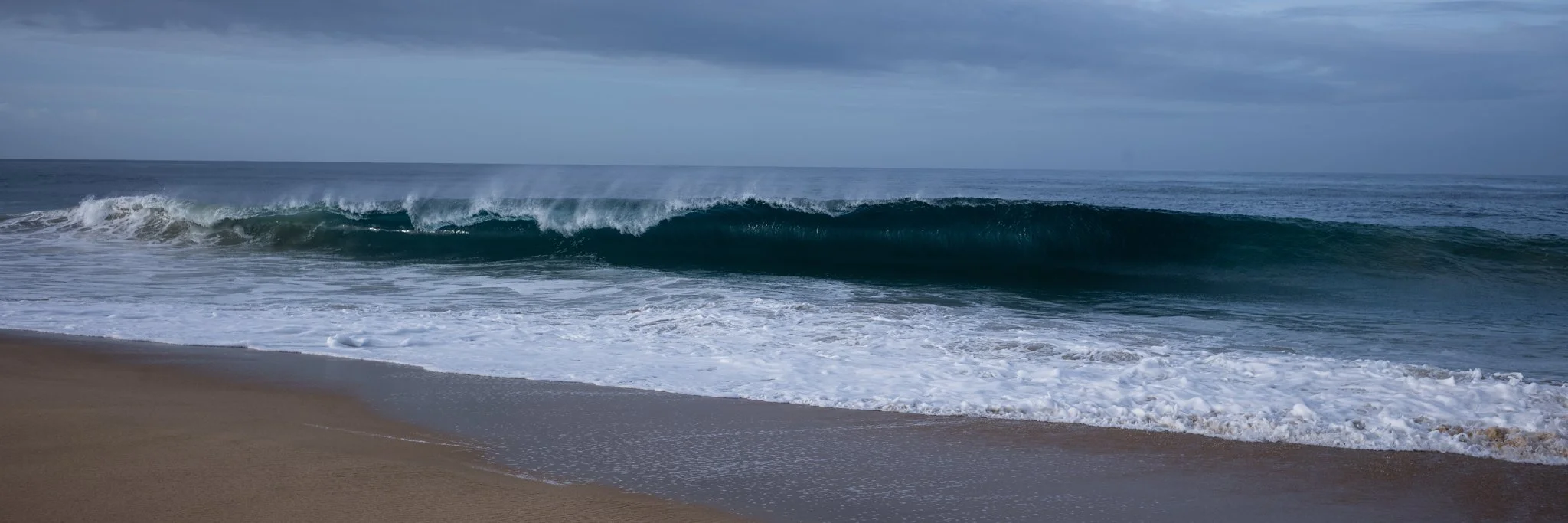 L1004004.jpg