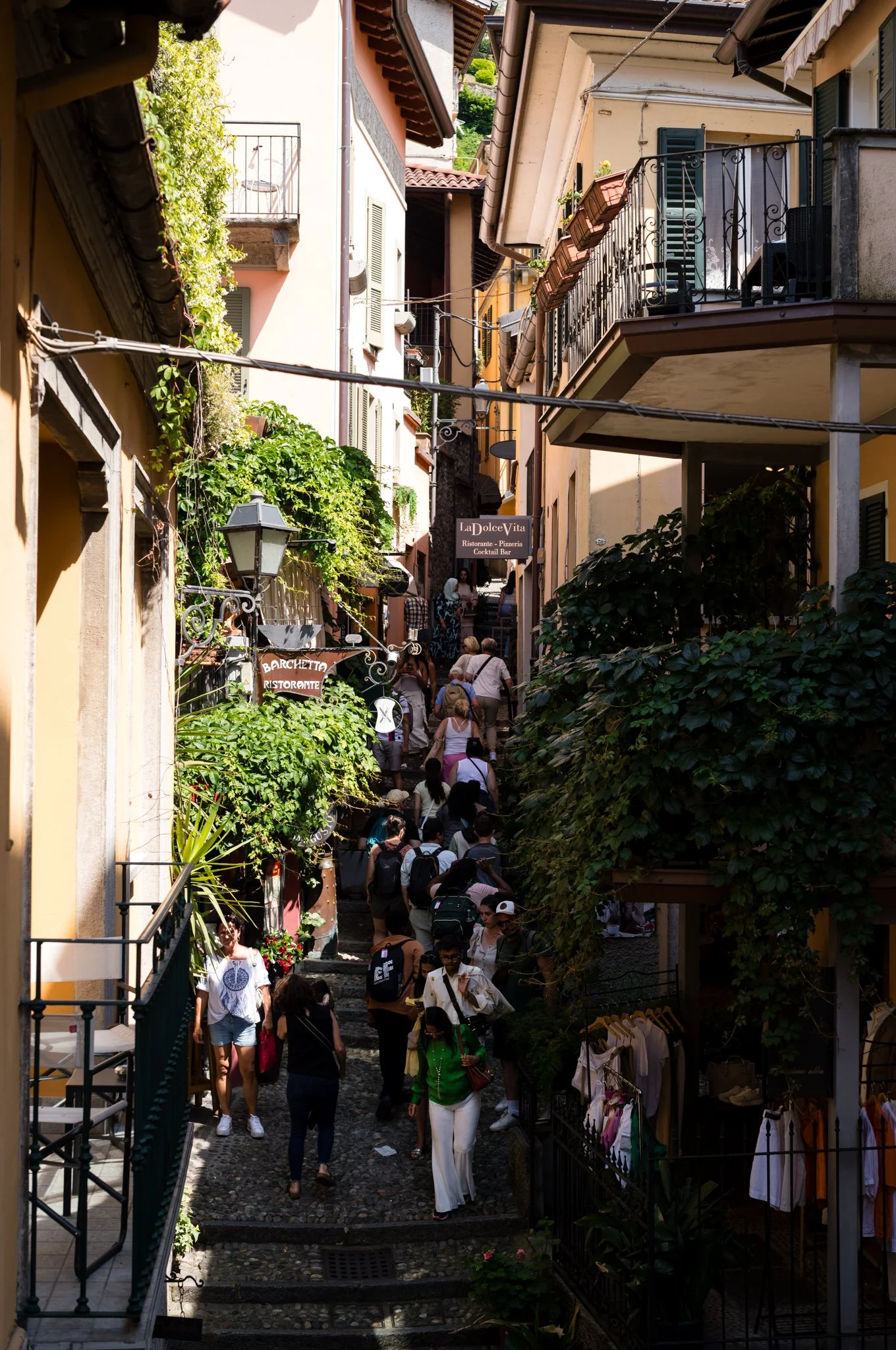 L1002937.jpg