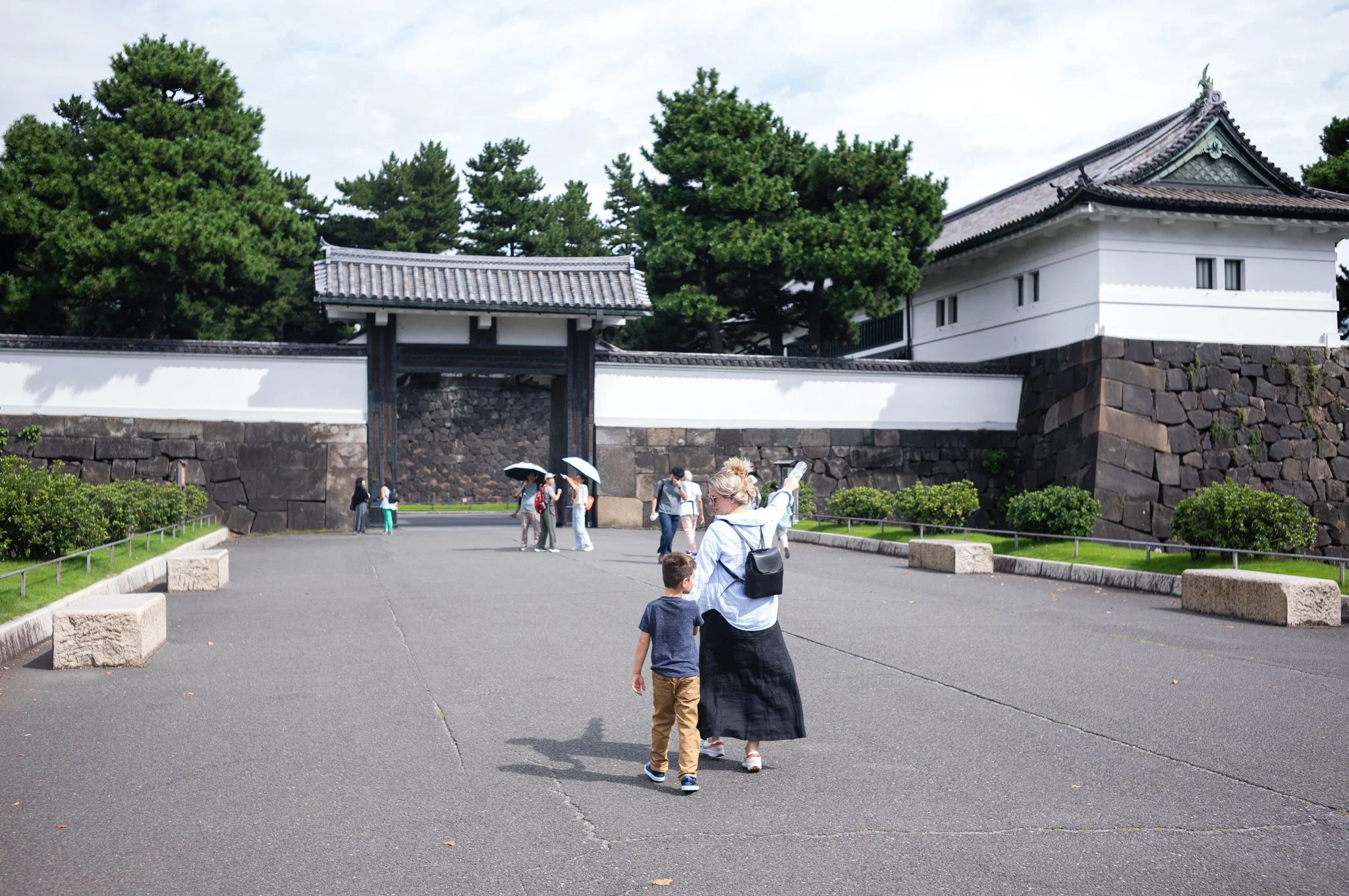 L1005609.jpg