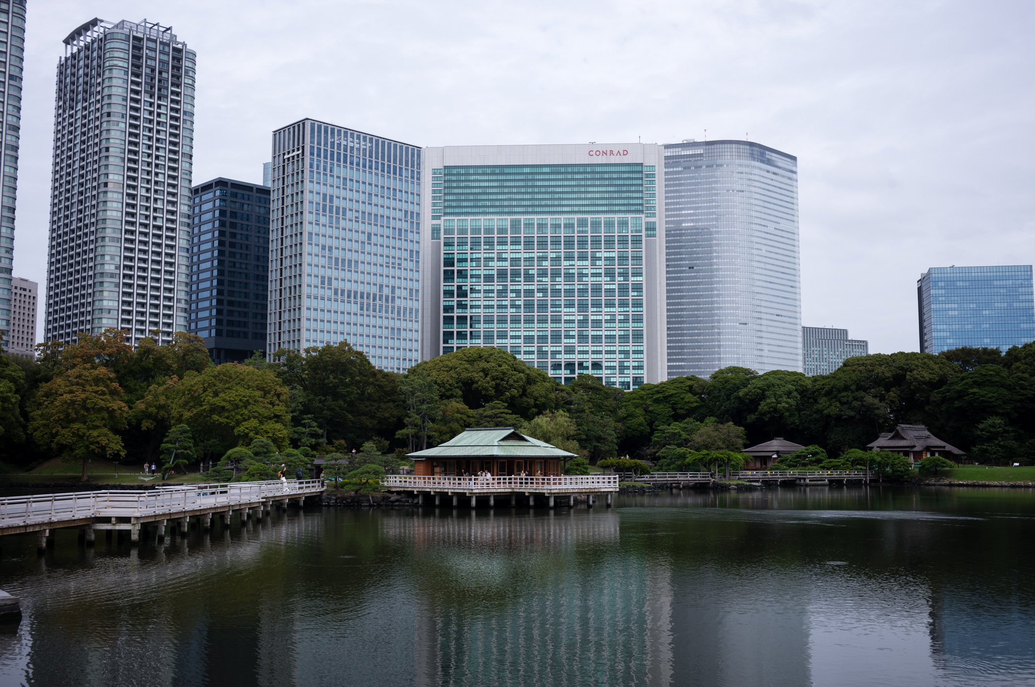 L1005729.jpg
