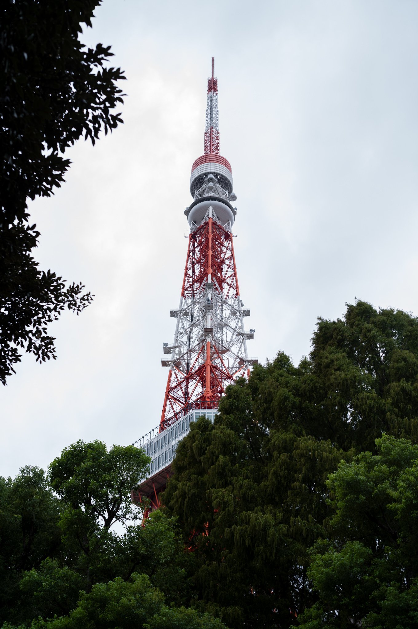 L1005641.jpg