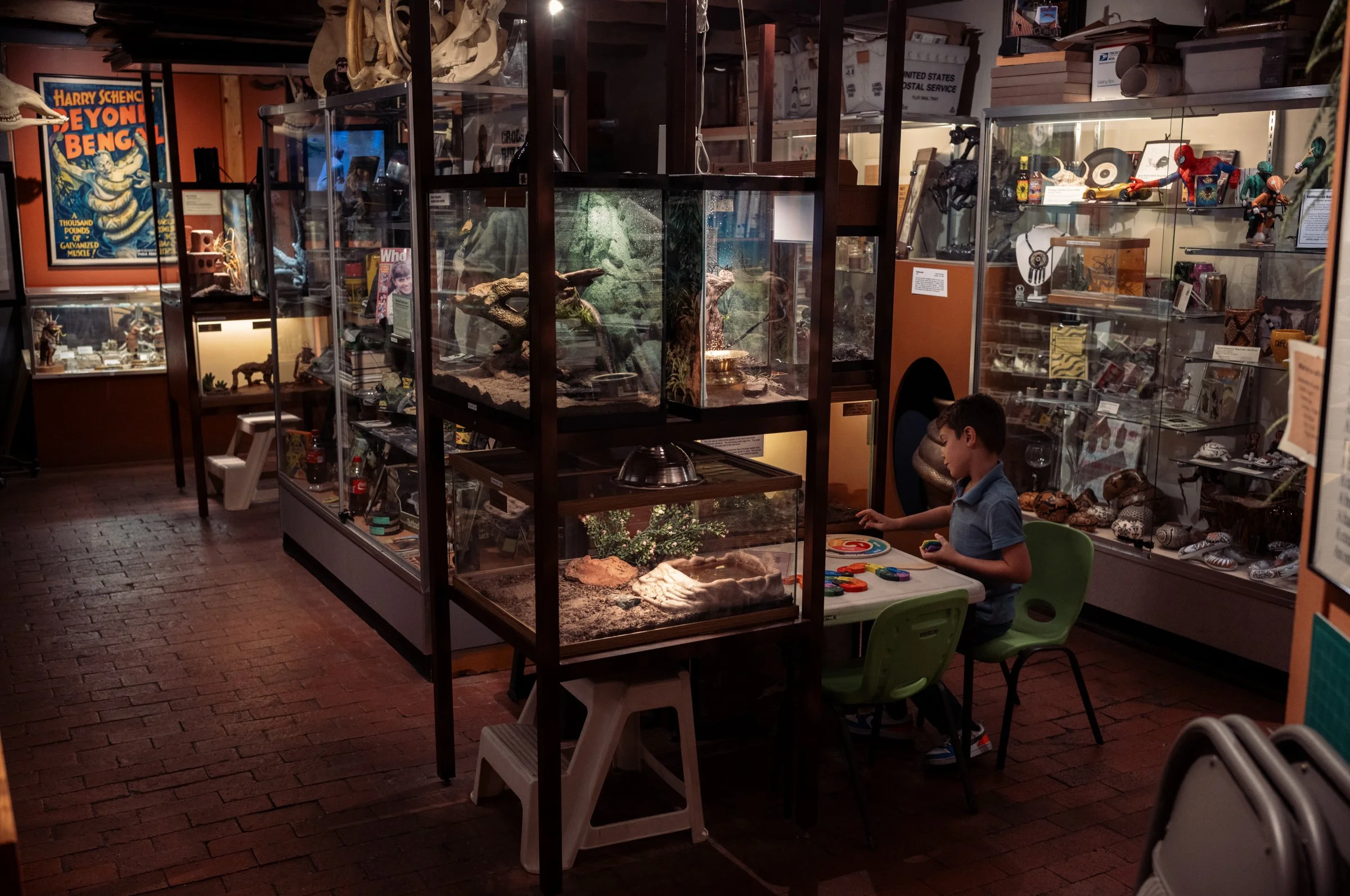 L1002466.jpg