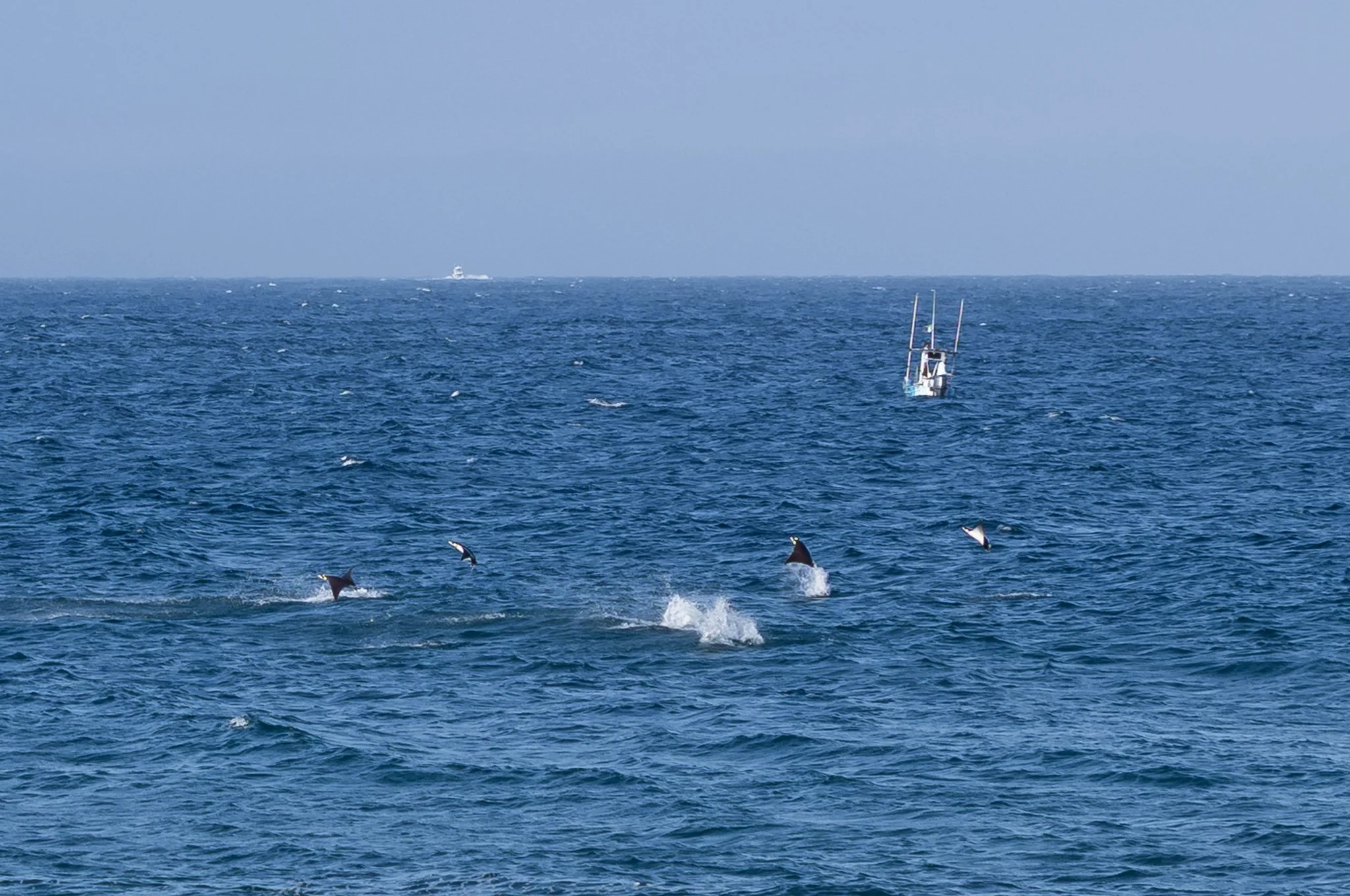 L1003985.jpg