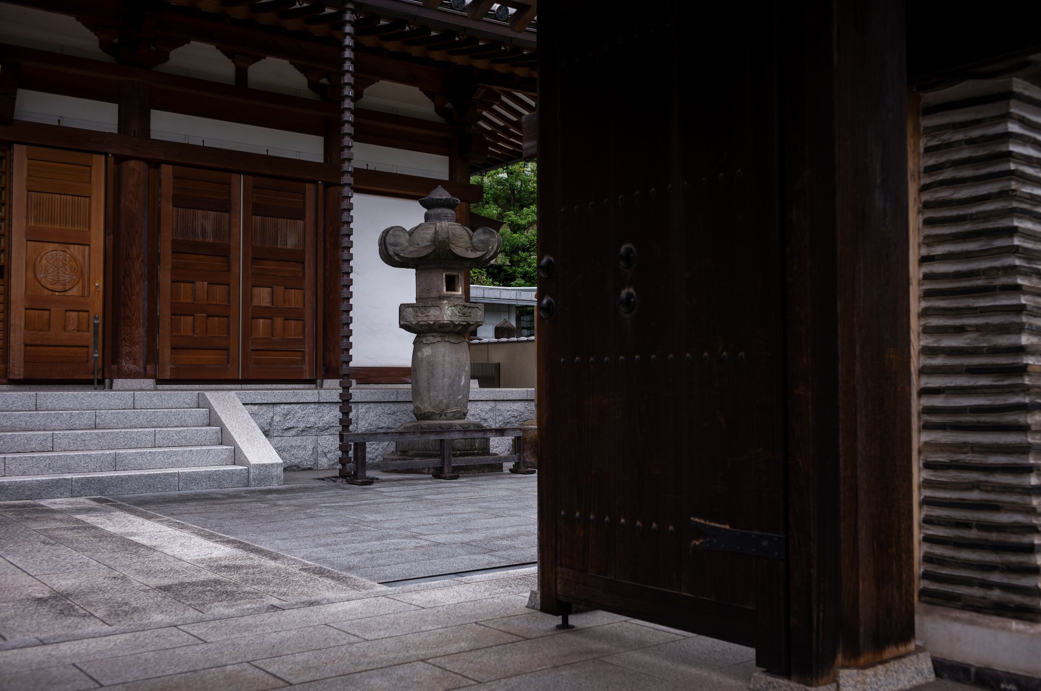L1005655.jpg