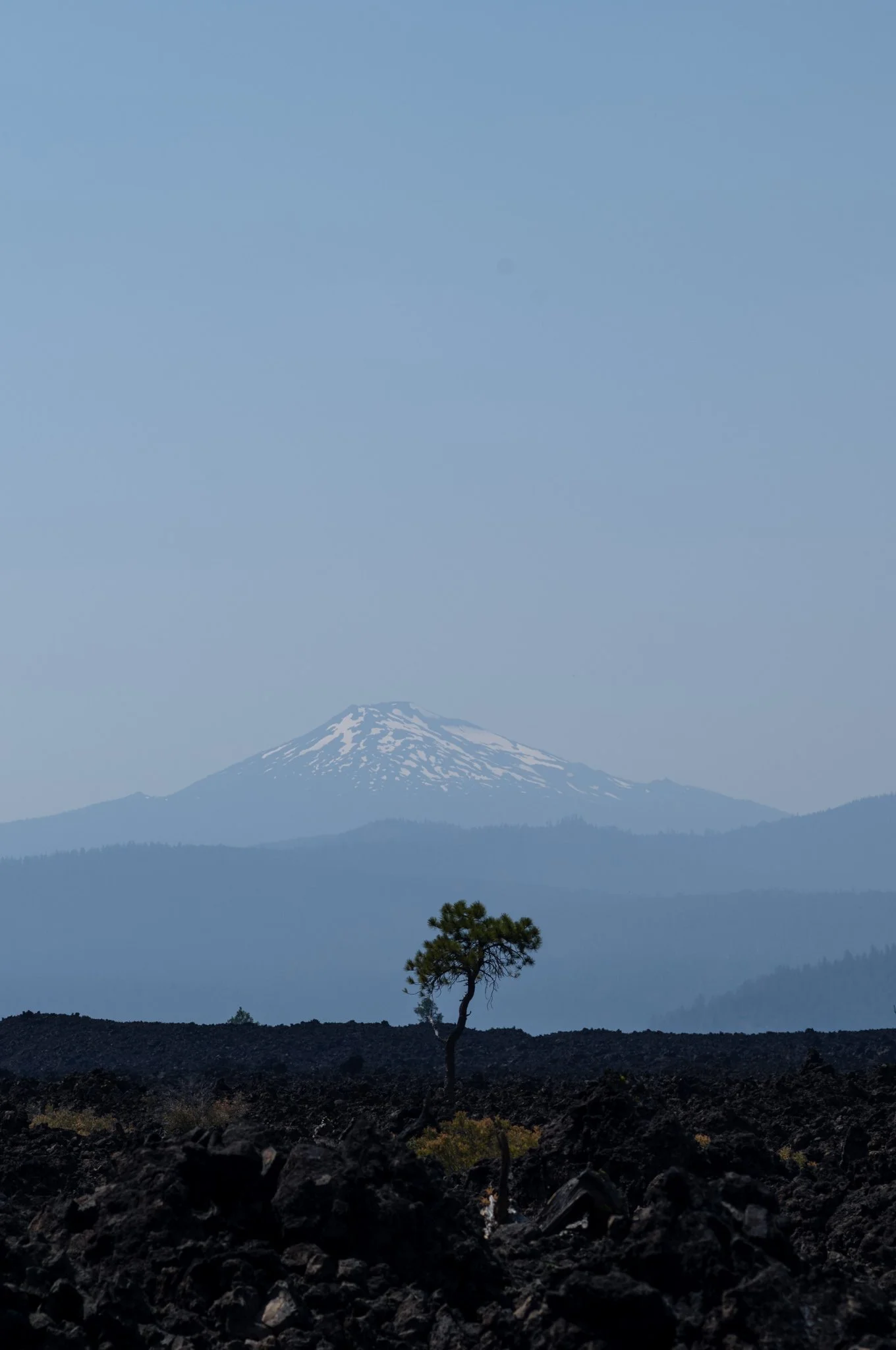 L1001181.jpg