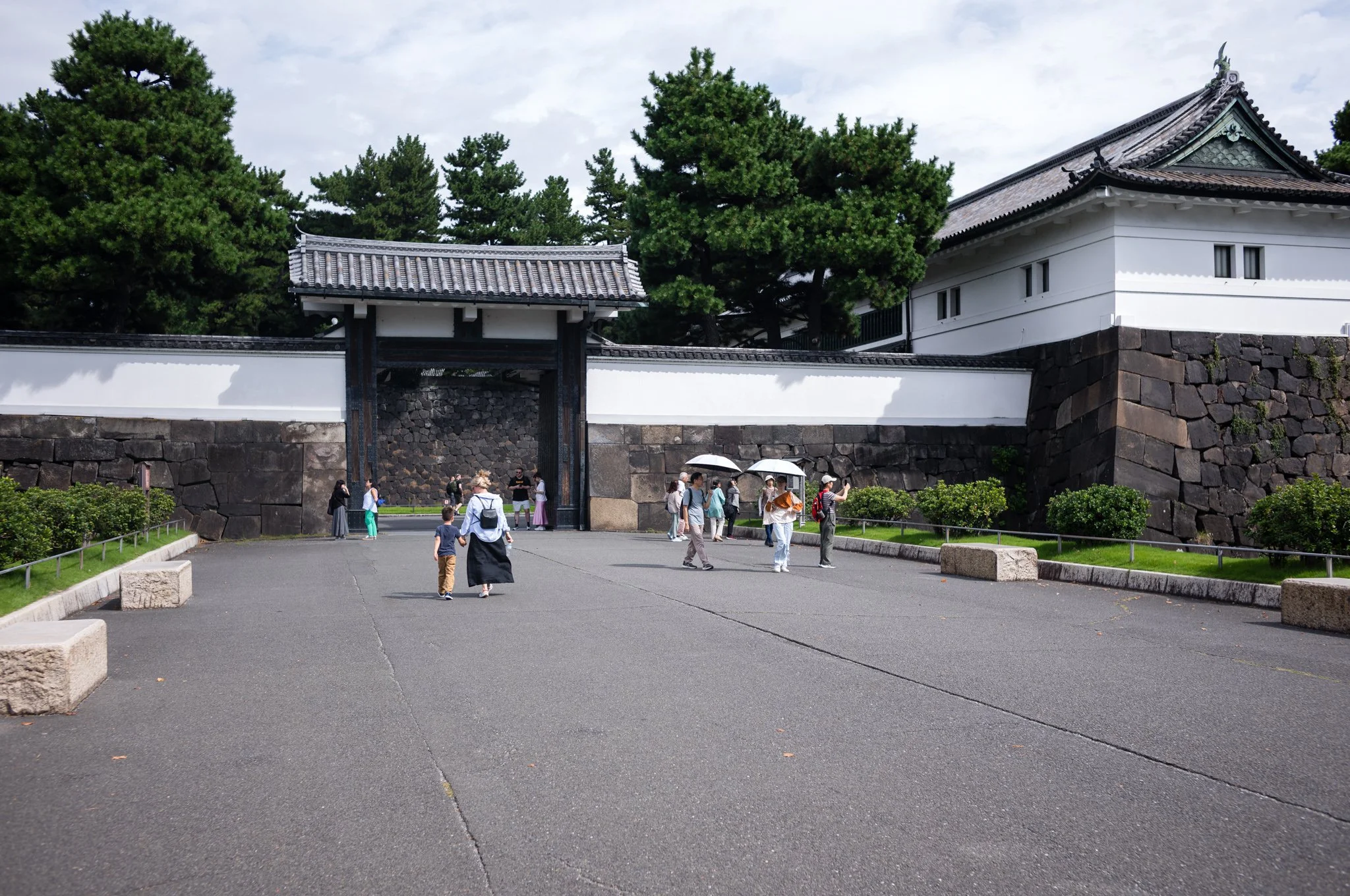 L1005612.jpg