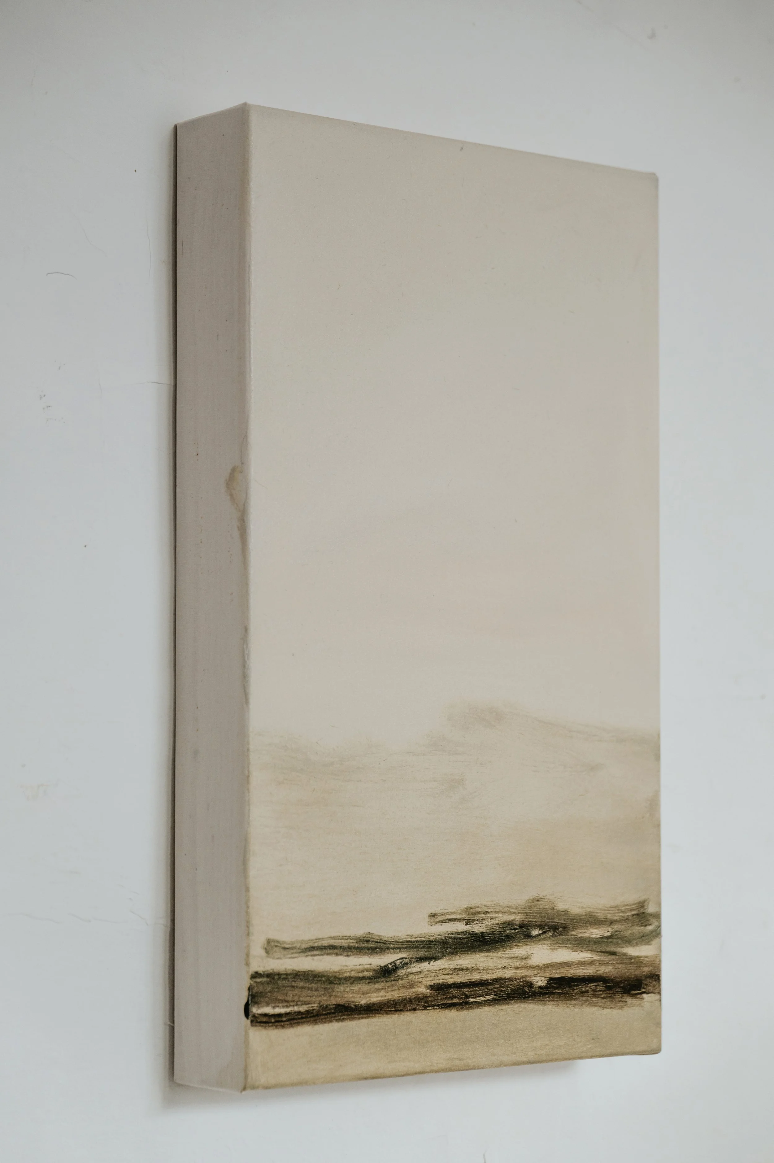 olio su tela 50x30