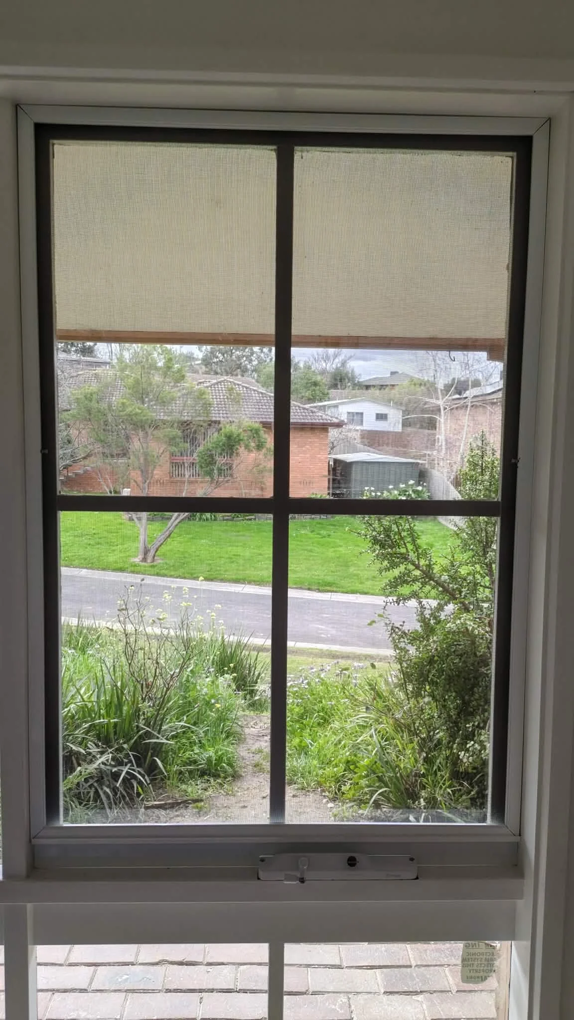 View through a window showing a backyard with grass, trees, and neighboring houses under an overcast sky.