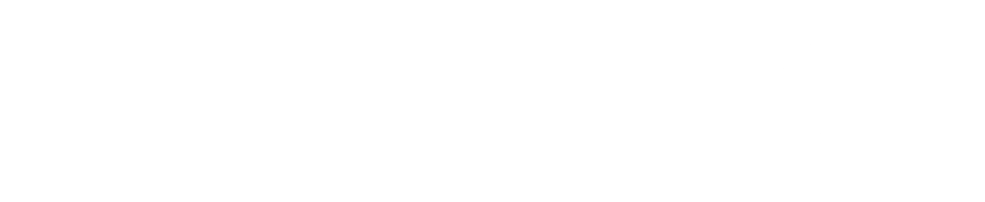 j.p.morgan