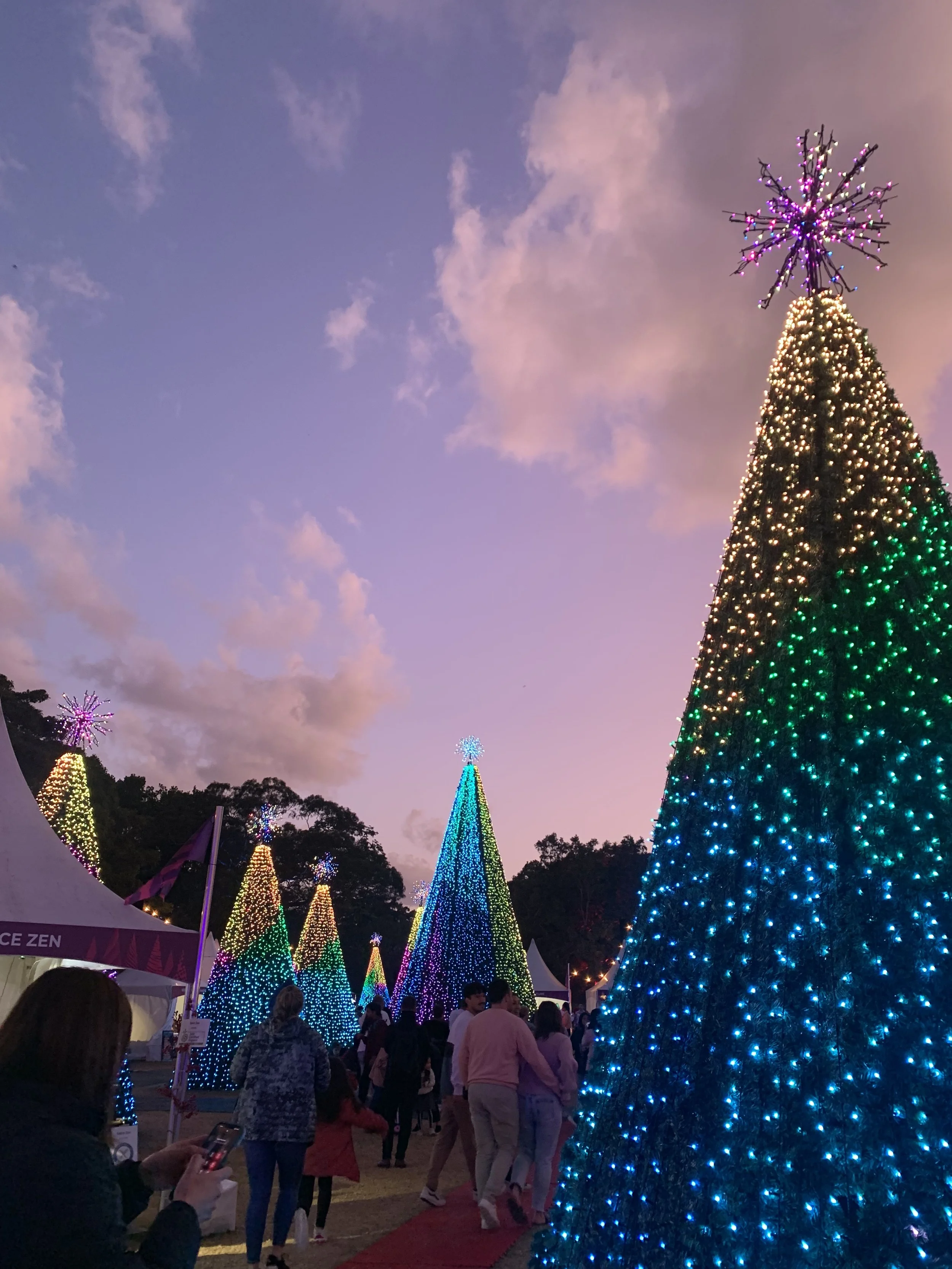 Crowds walking though the Noël Sydney Christmas market