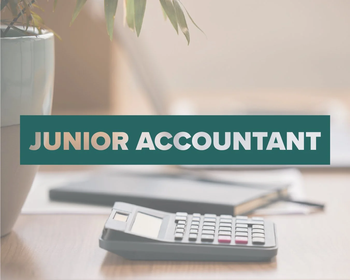 JUNIOR ACCOUNTANT