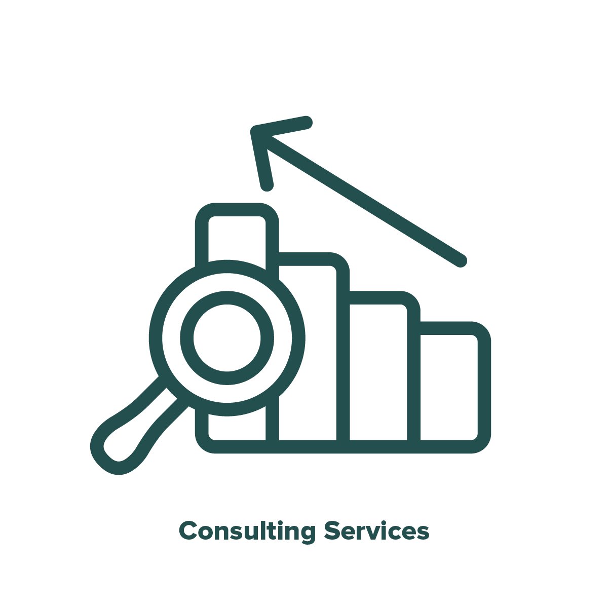 Consulting Services