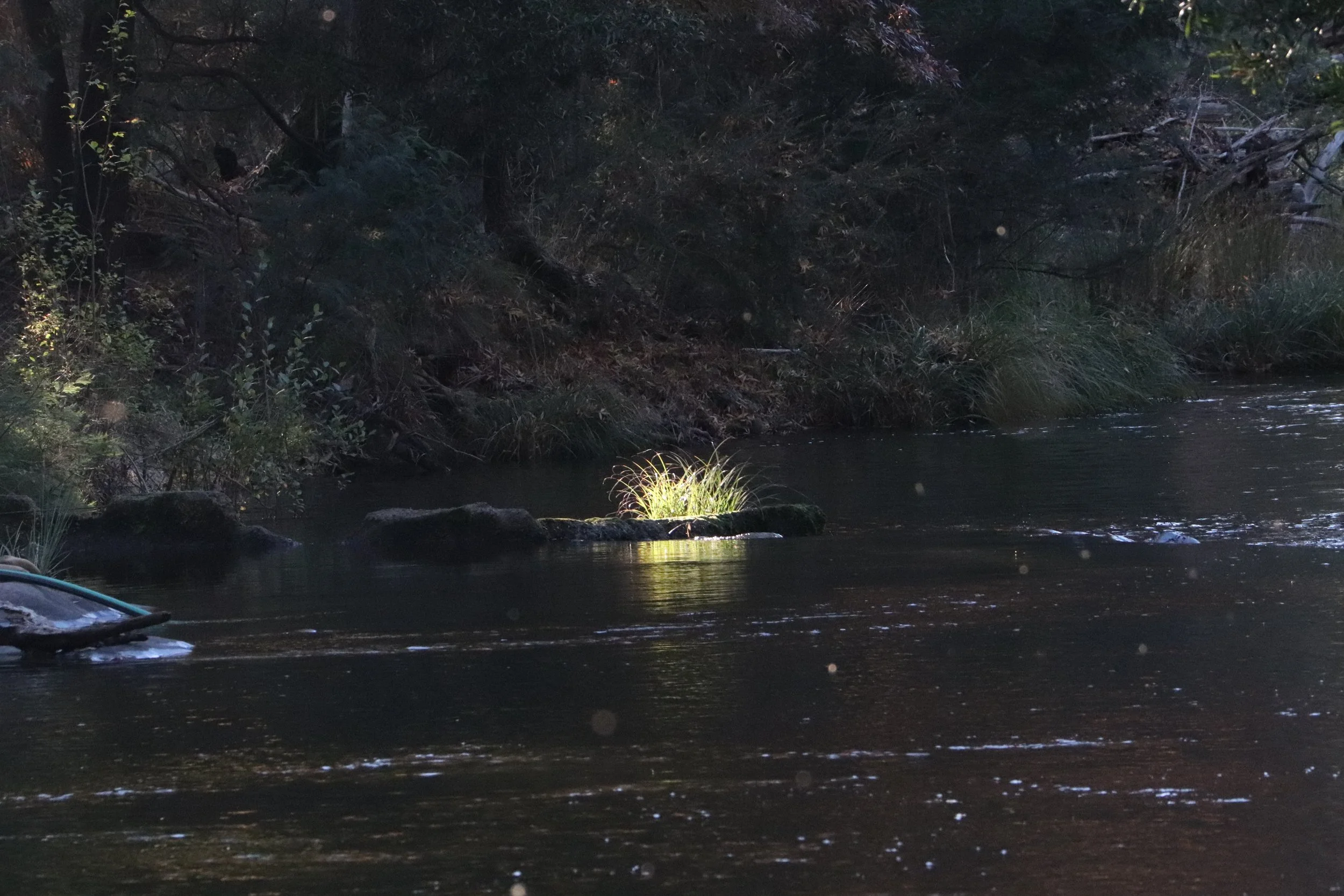 Howqua River