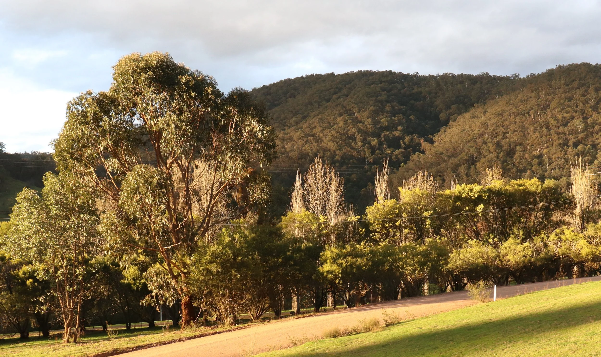 Forested hills and valley views from Howqua Hideaway, Victorian High Country