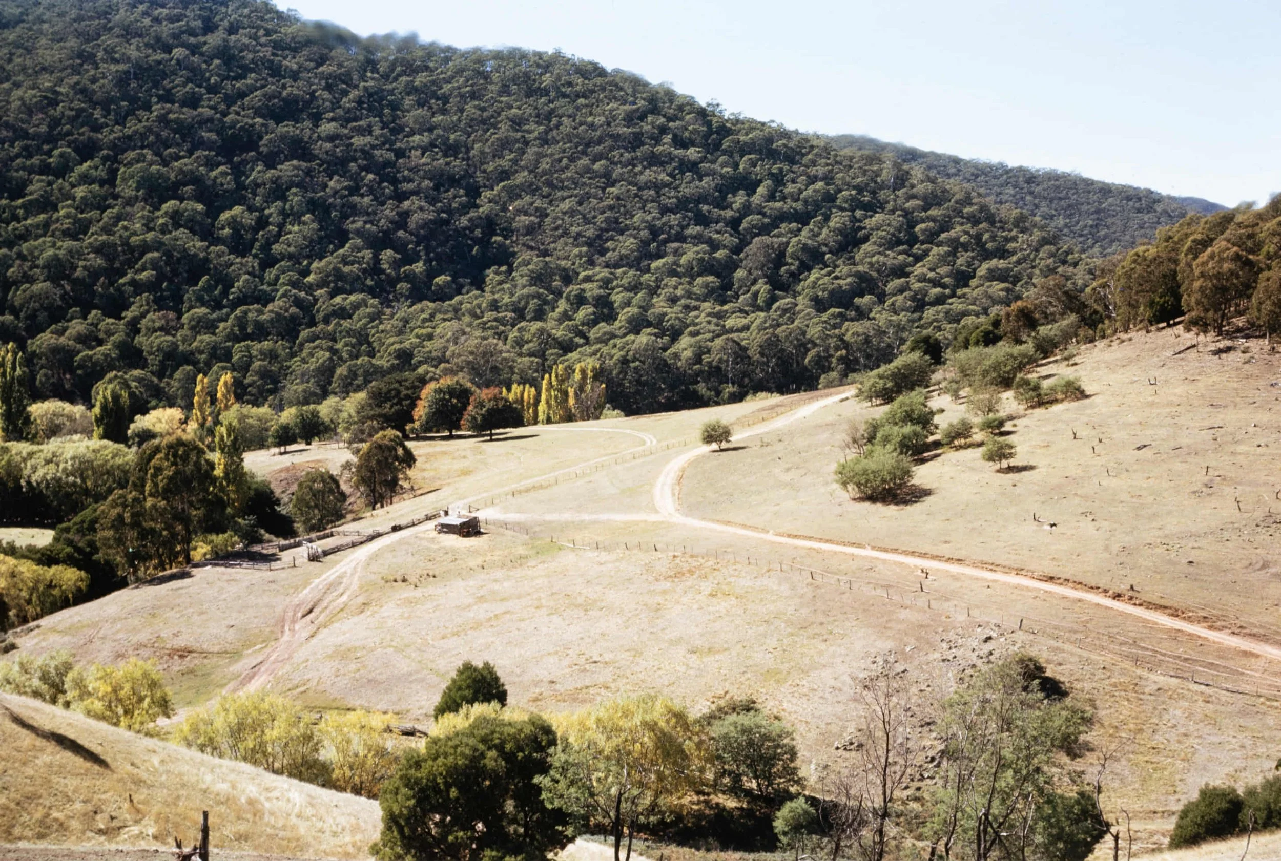 A landscape view of rolling hills covered with trees, with a winding dirt road and a single vehicle in the foreground.