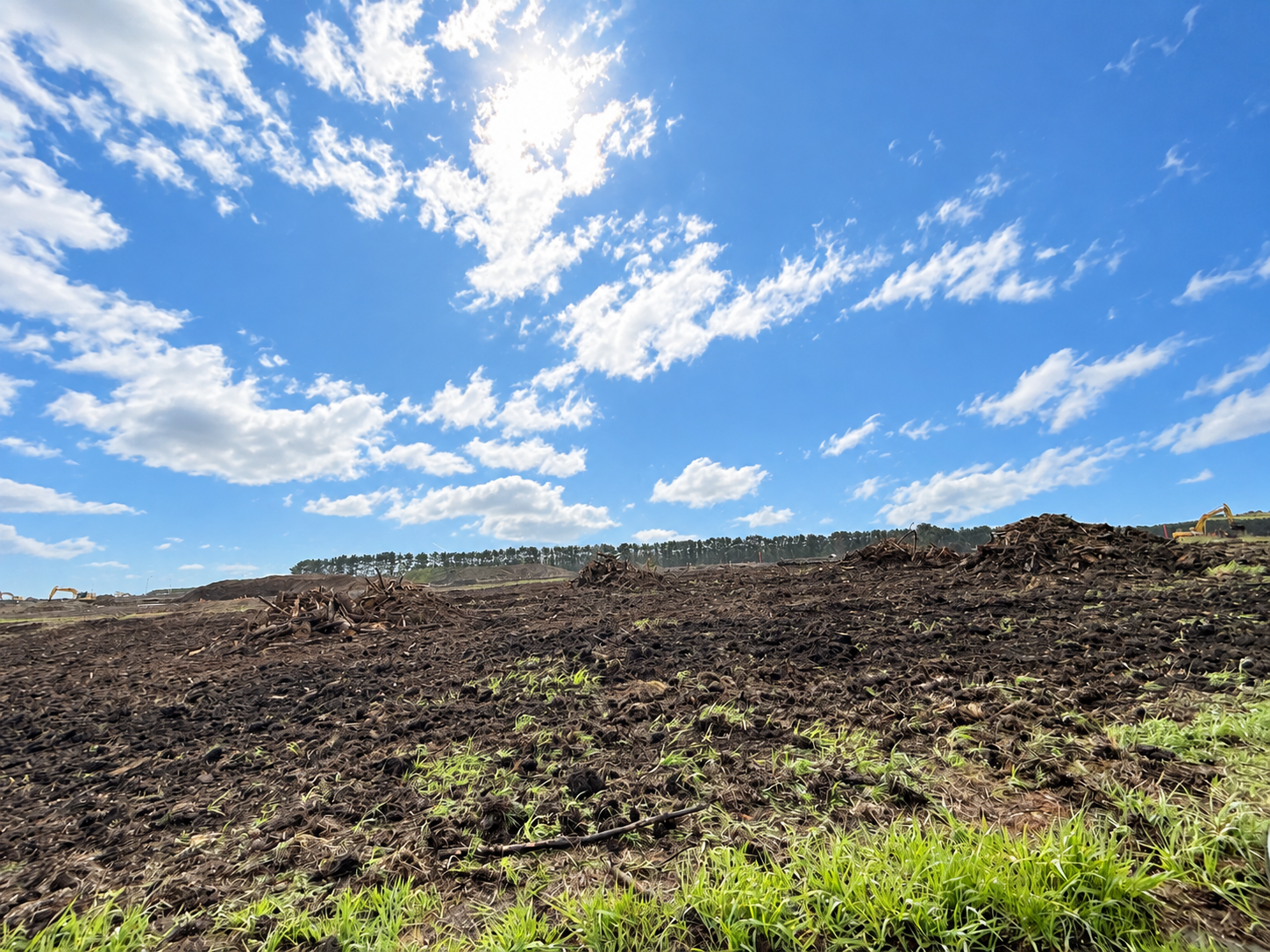 vegetation management