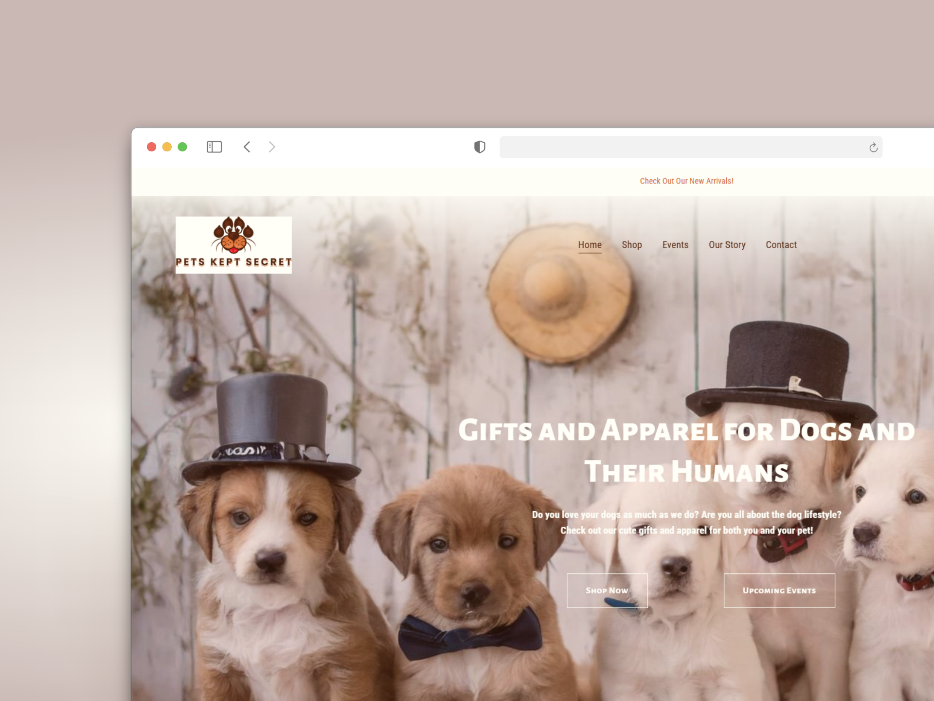 Jamie's Design LLC