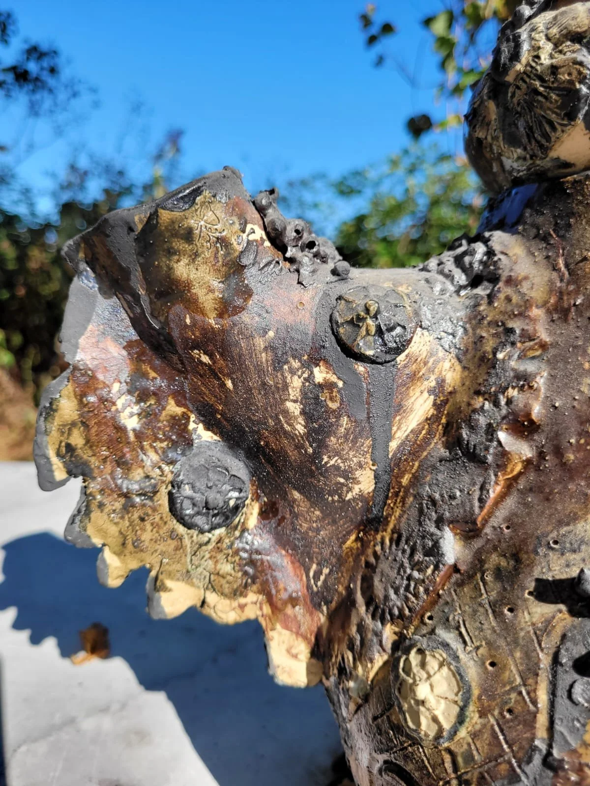 Close-up van een gebrande houtskoolsculptuur met een blauwe lucht op de achtergrond.