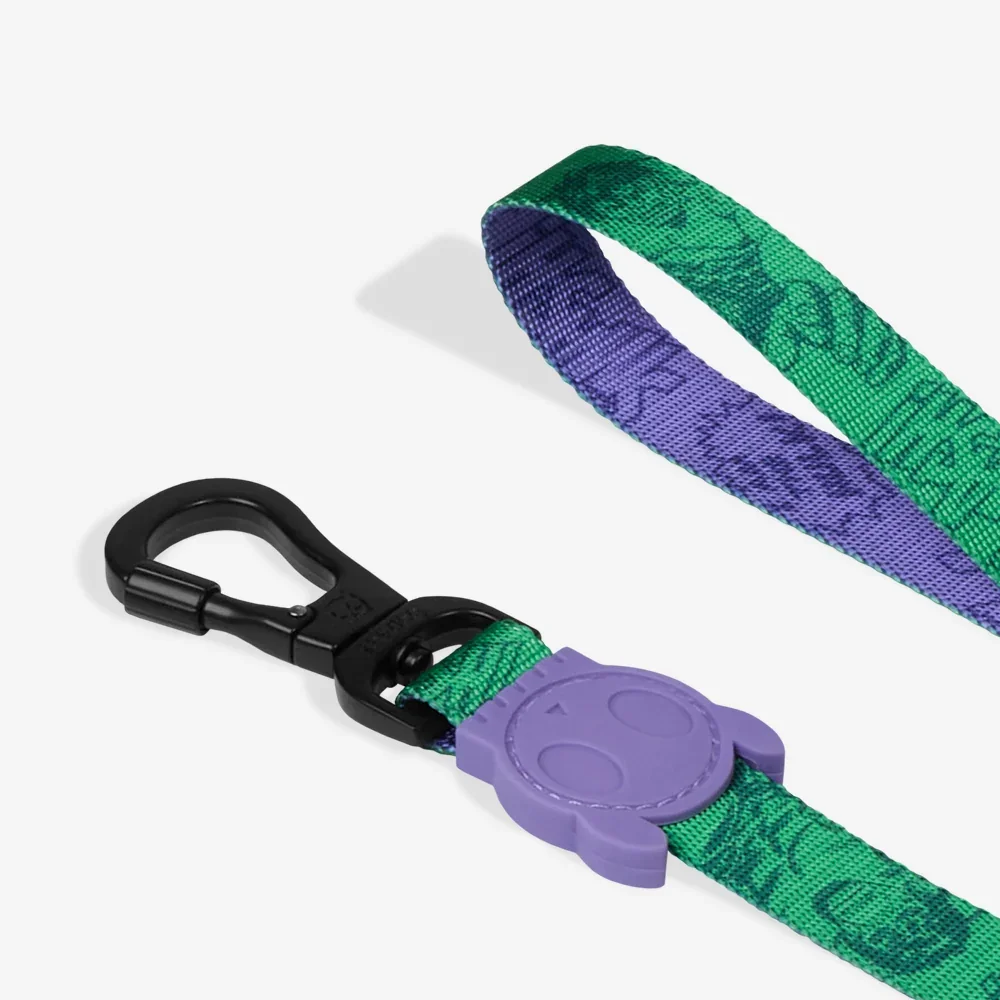 zeedog-dog-leash-marvel-hulk_main-4.webp