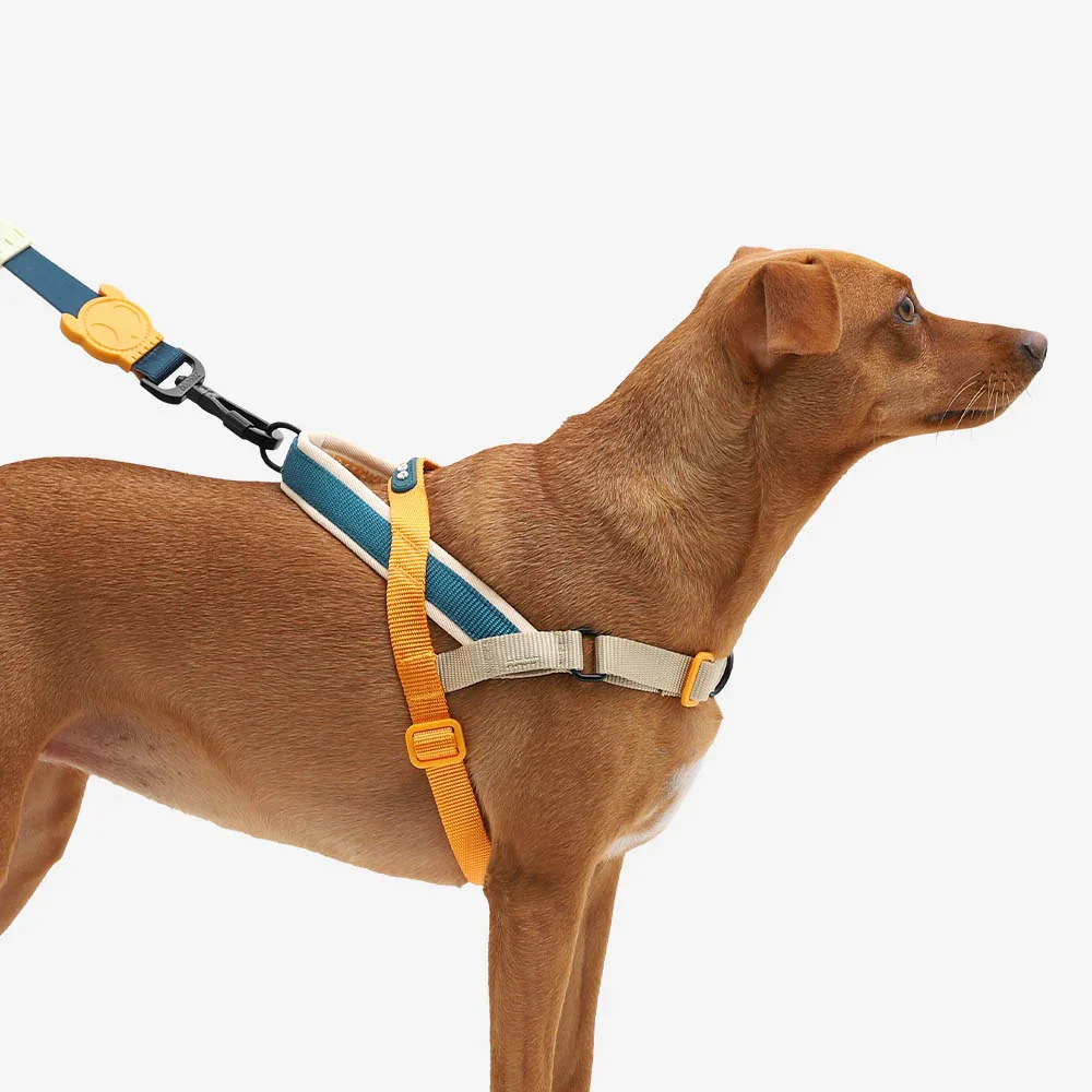 zeedog-soft-walk-harness-voyage_main-6.webp