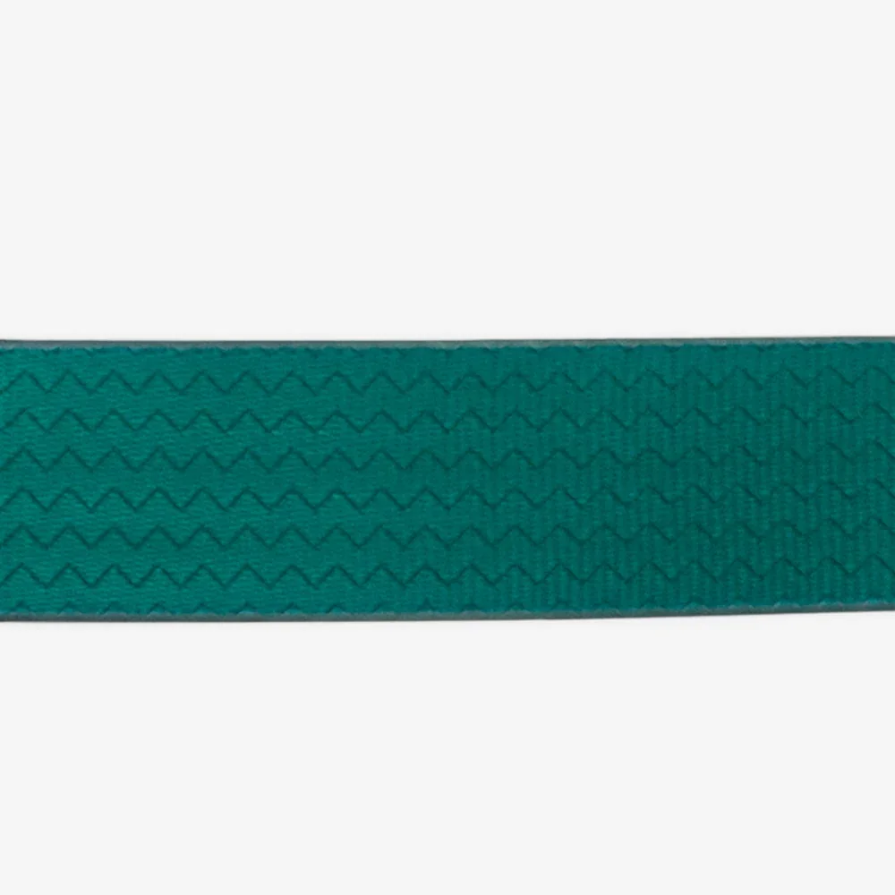 zee_dog_neopro_amazonia_dog_leash_main-6.webp