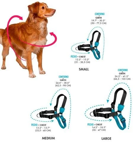 arnes-zeedog-soft-walk-valley-small.jpg (Copy) (Copy) (Copy)