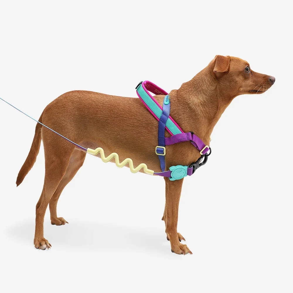 zeedog-soft-walk-harness-shockwave_main-4.webp