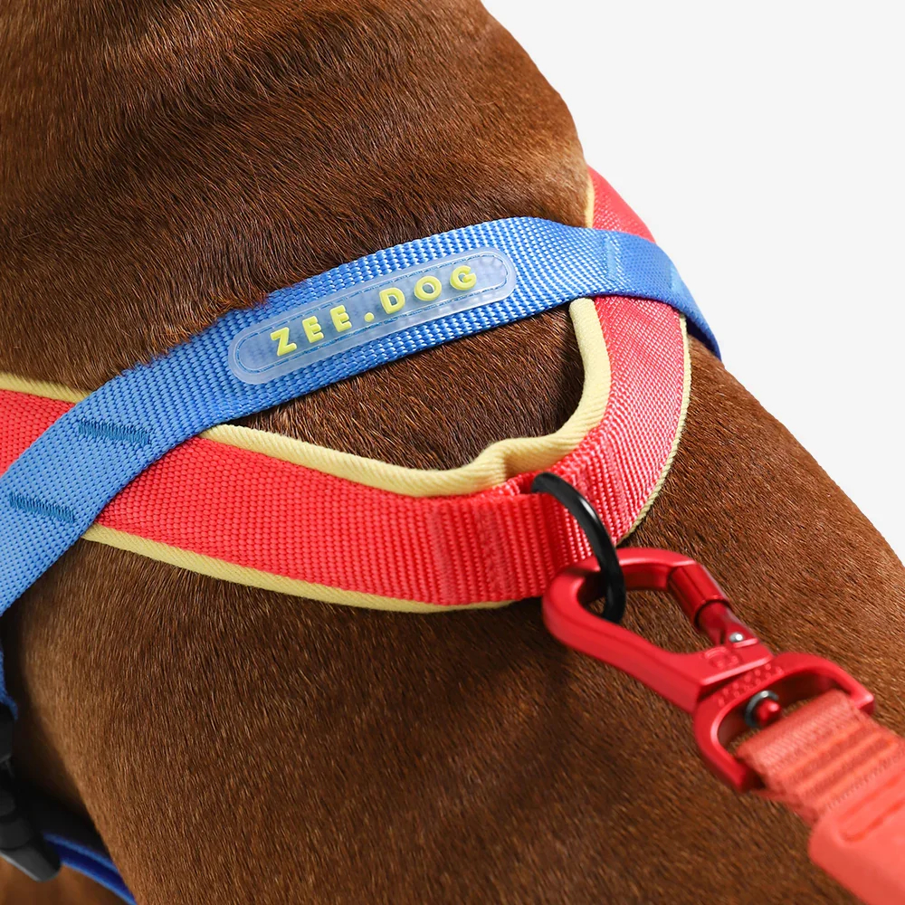 softer-walk-harness-mellow-main-6.webp