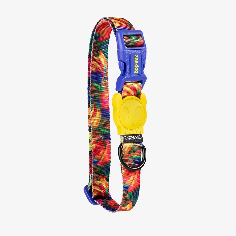 SAMBA COLLAR | ZEEDOG