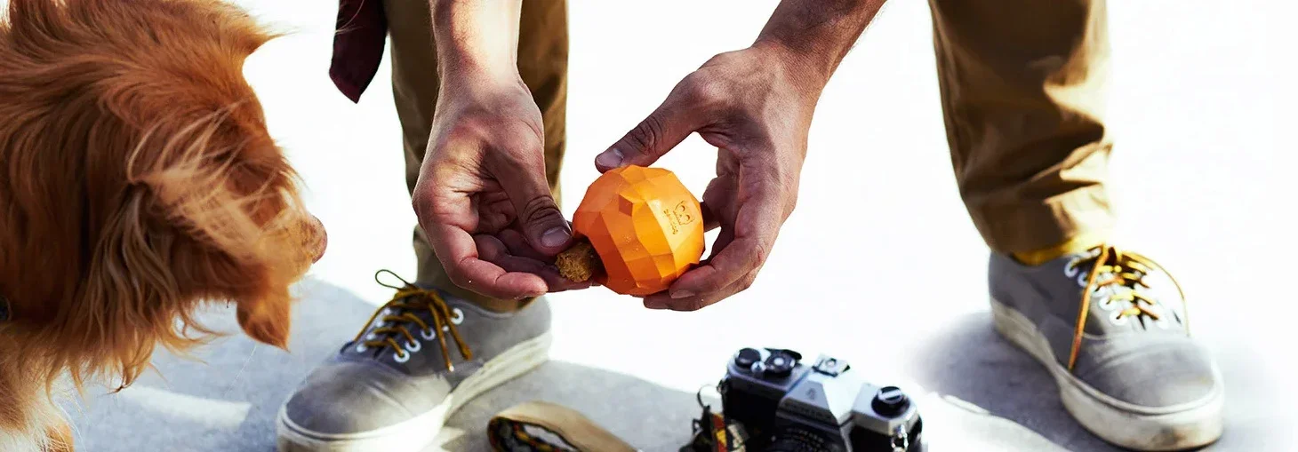 Super_Orange_Dog_Toy_6.webp